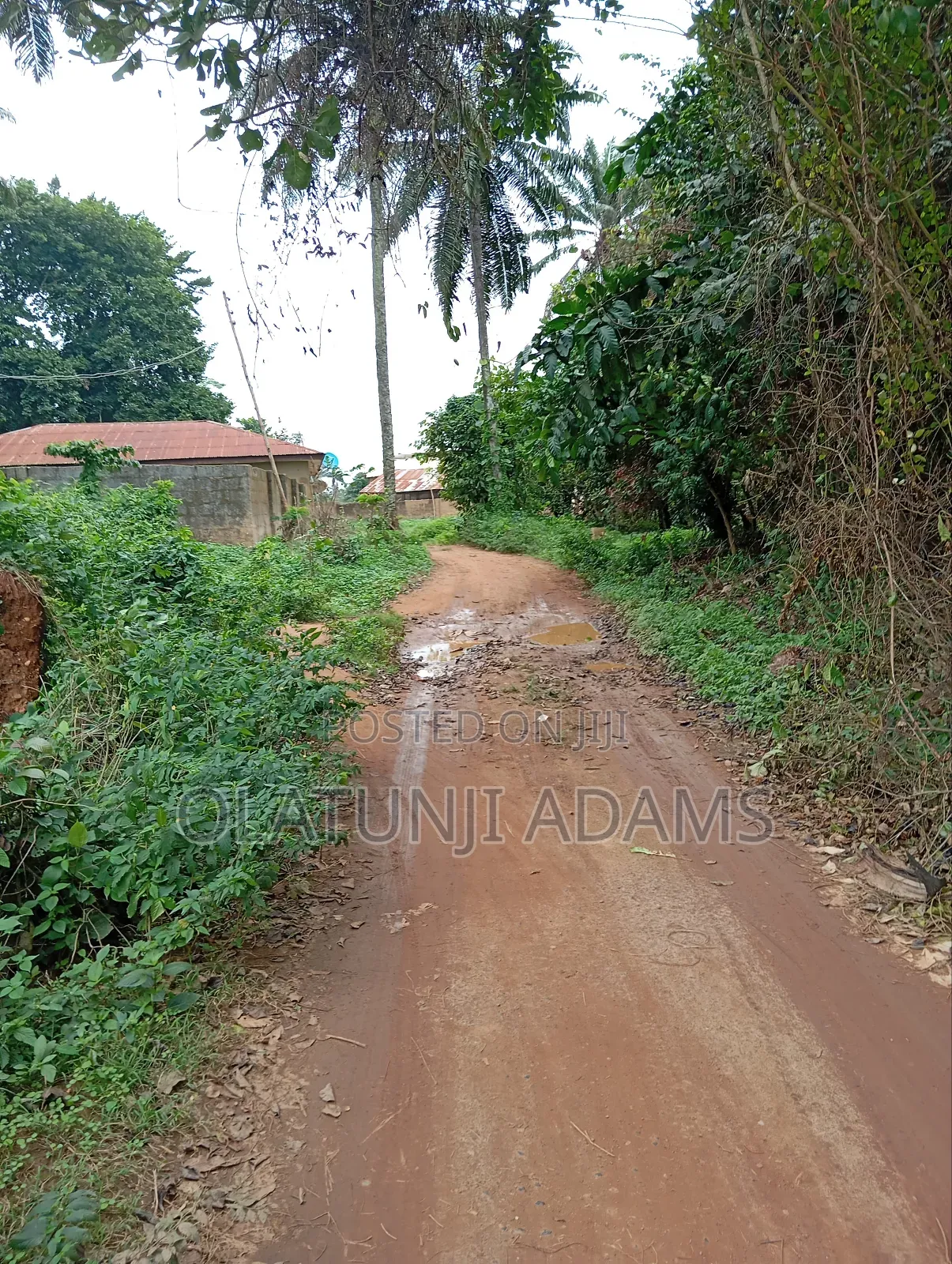 170acrea of Farmland at Osuntedo in Osun State in Osogbo