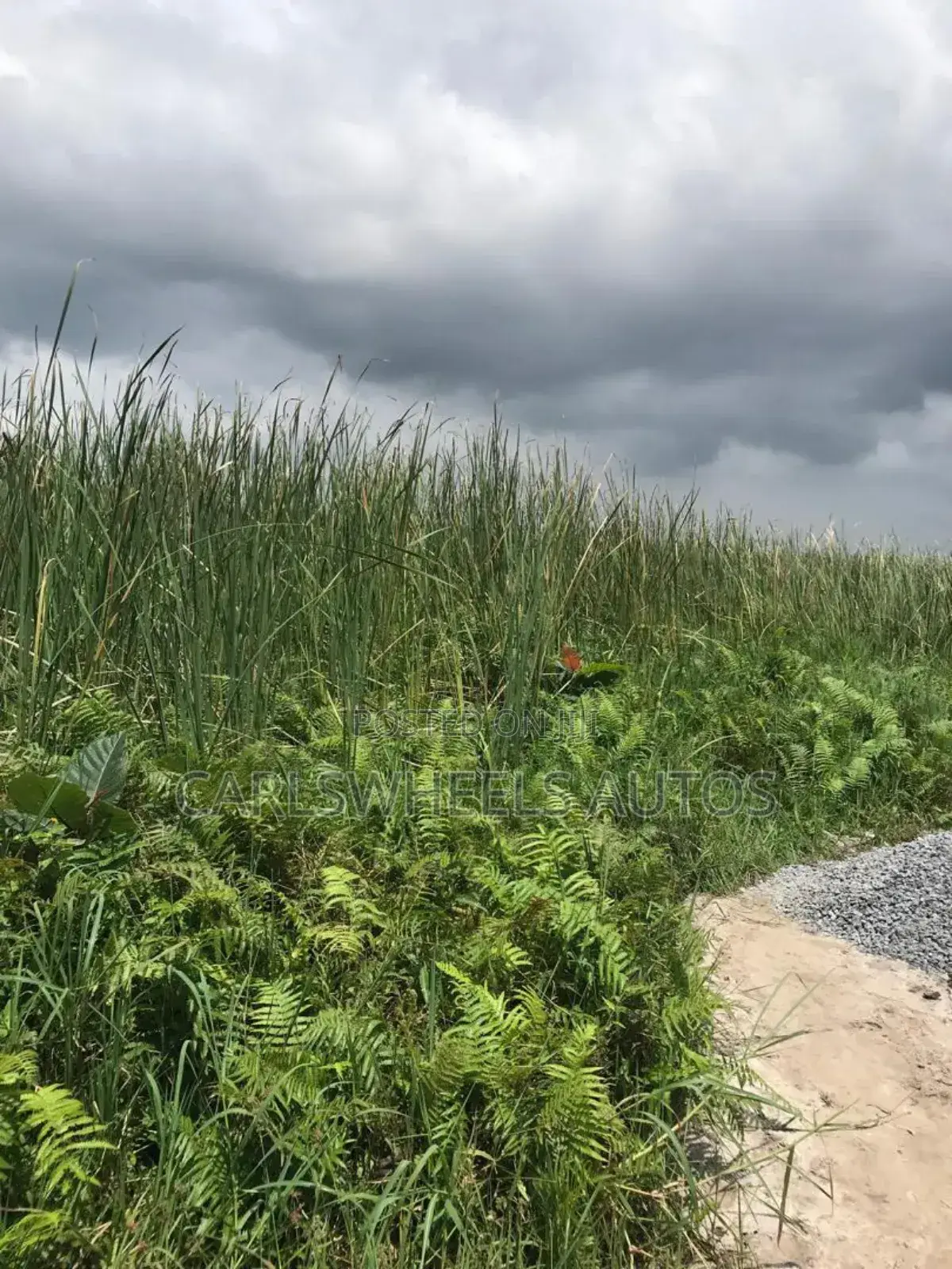 100 Ecres Not Dry and Not Swamp Land in Kajola Phase 2 in Ibeju