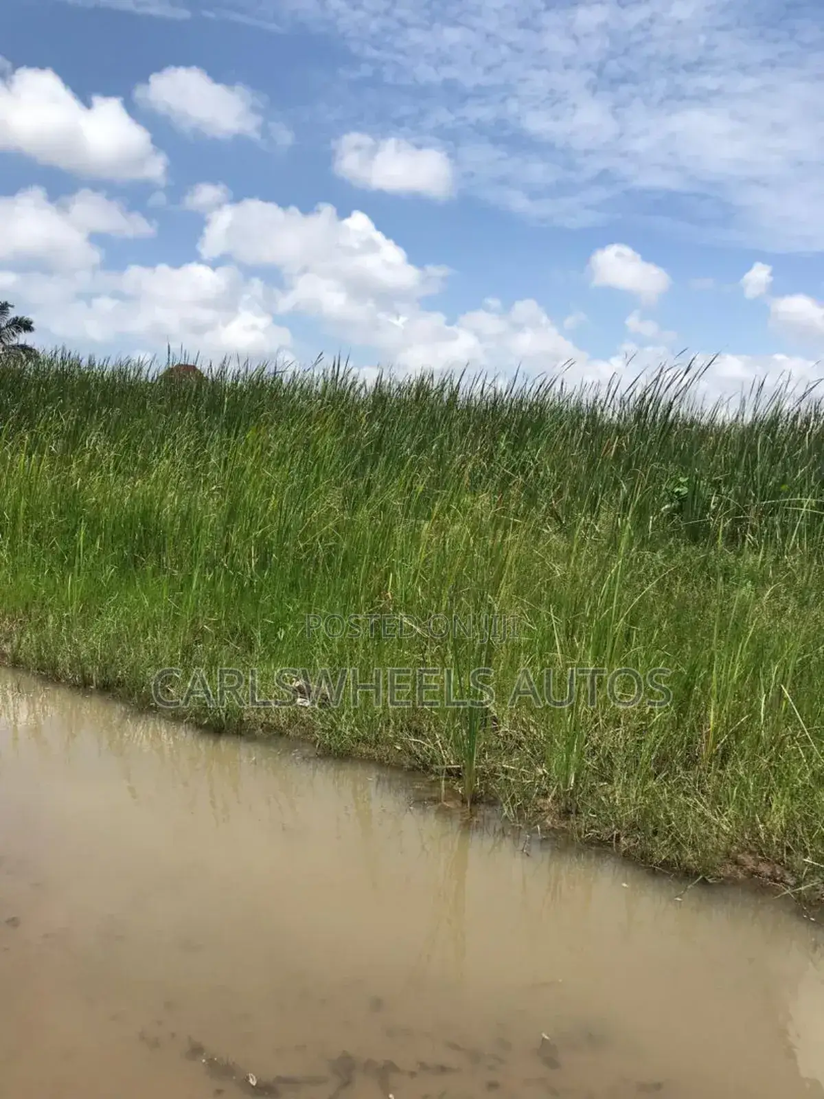 100 Ecres Not Dry and Not Swamp Land in Kajola Phase 2 in Ibeju