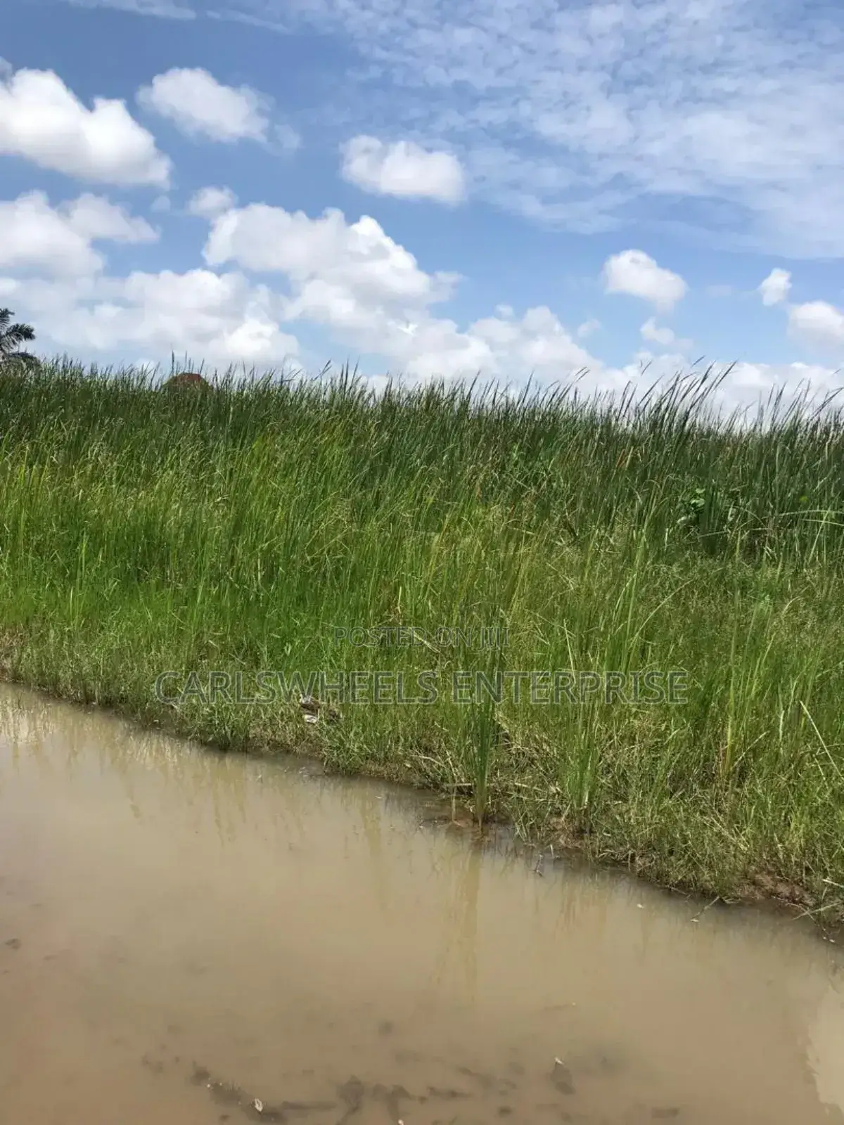 100 Ecres Not Dry and Not Swamp Land in Kajola Phase 2 in Ibeju