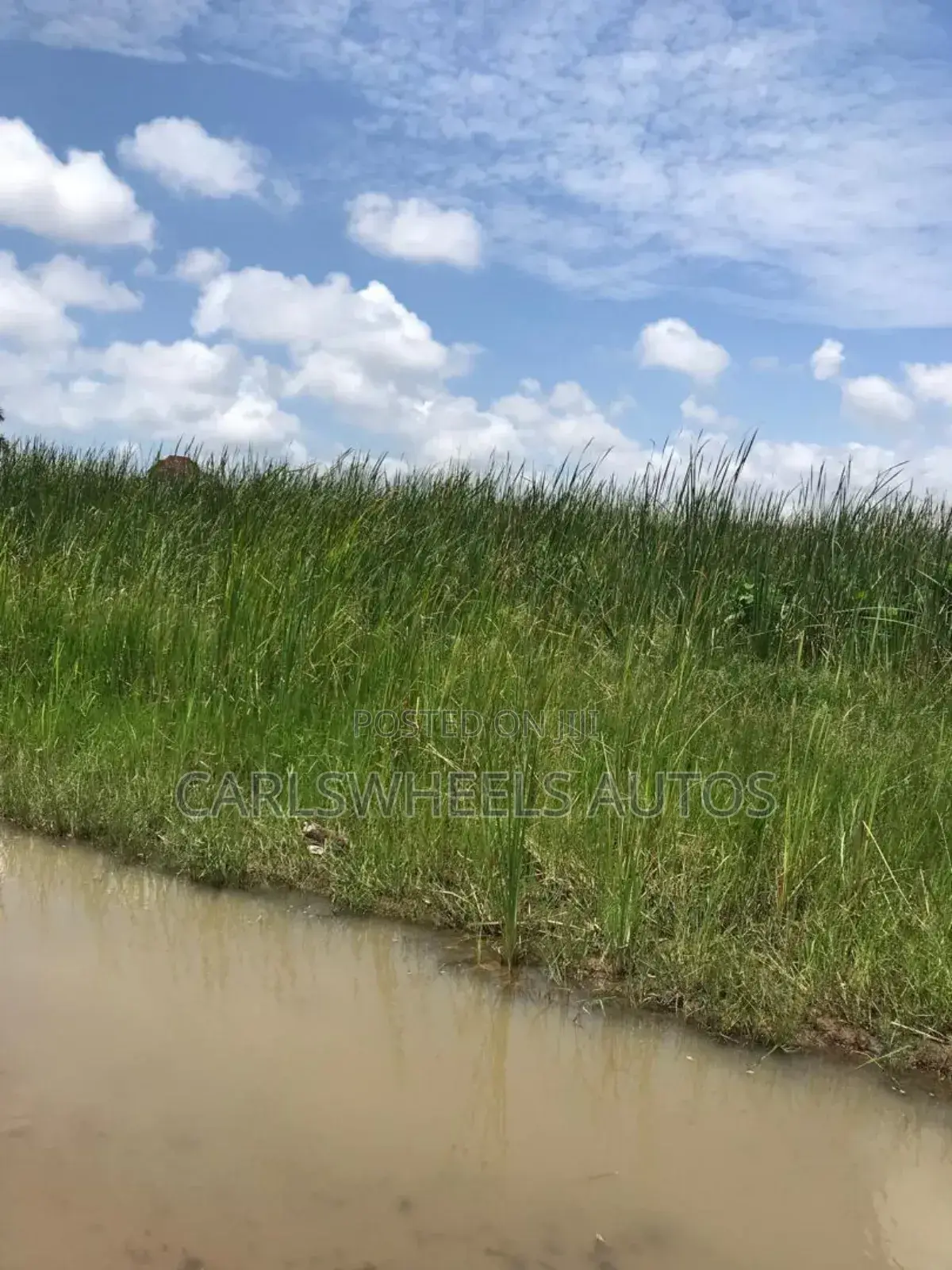 100 Ecres Not Dry and Not Swamp Land in Kajola Phase 2 in Ibeju