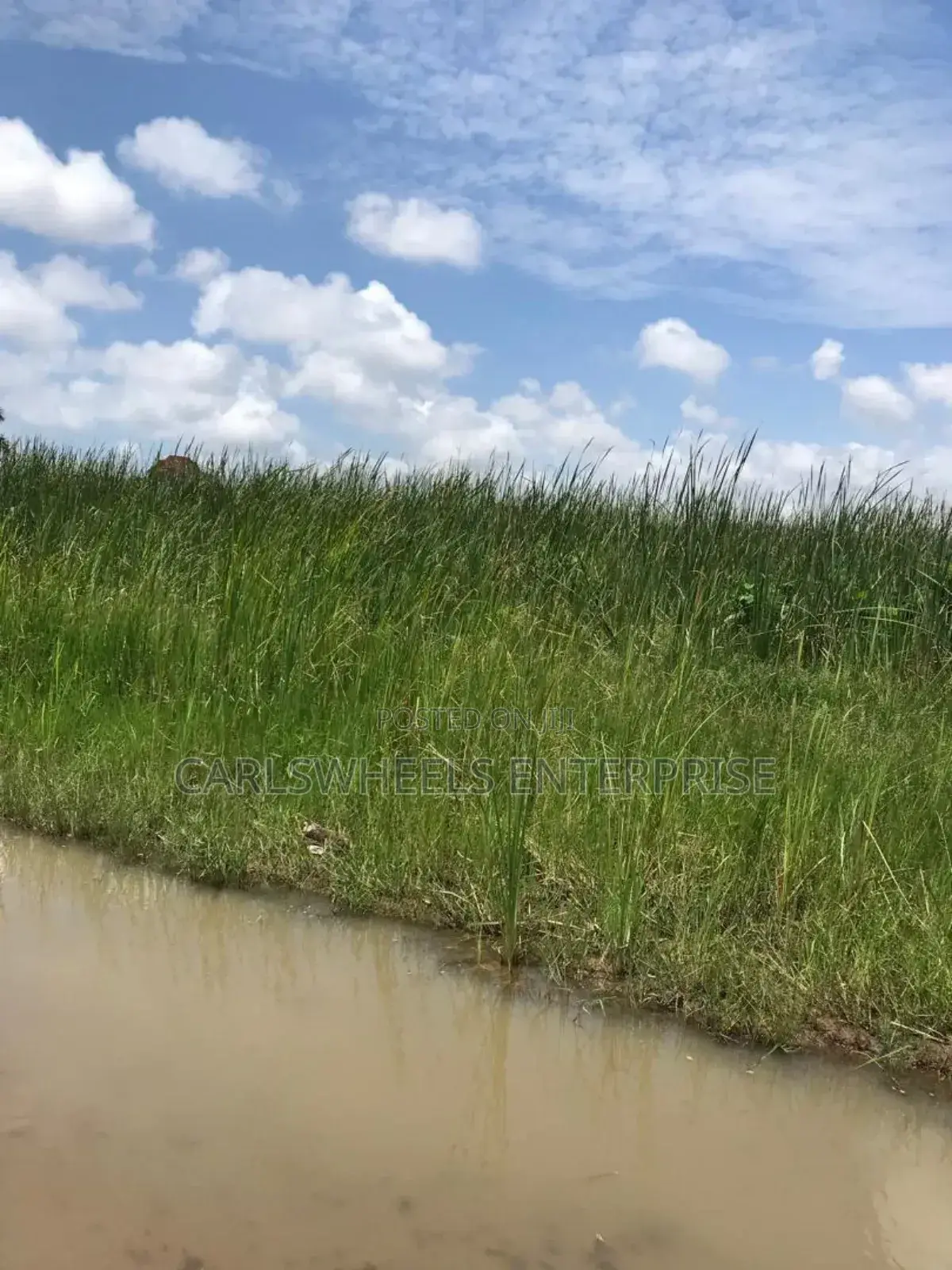 100 Ecres Not Dry and Not Swamp Land in Kajola Phase 2 in Ibeju