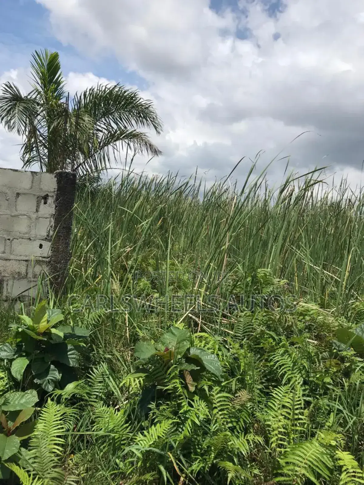 100 Ecres Not Dry and Not Swamp Land in Kajola Phase 2 in Ibeju