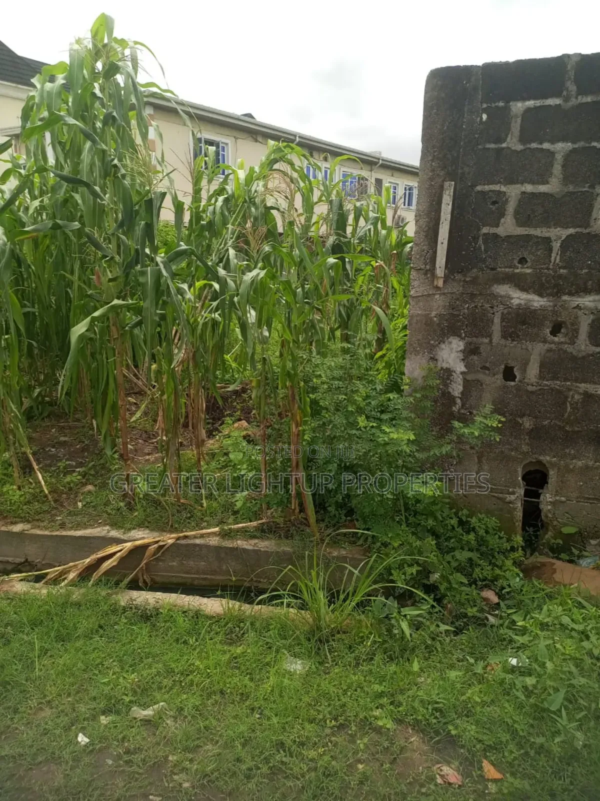 Well Strategized Above a Plot of Land for Sale at Festac in Amuwo-Odofin
