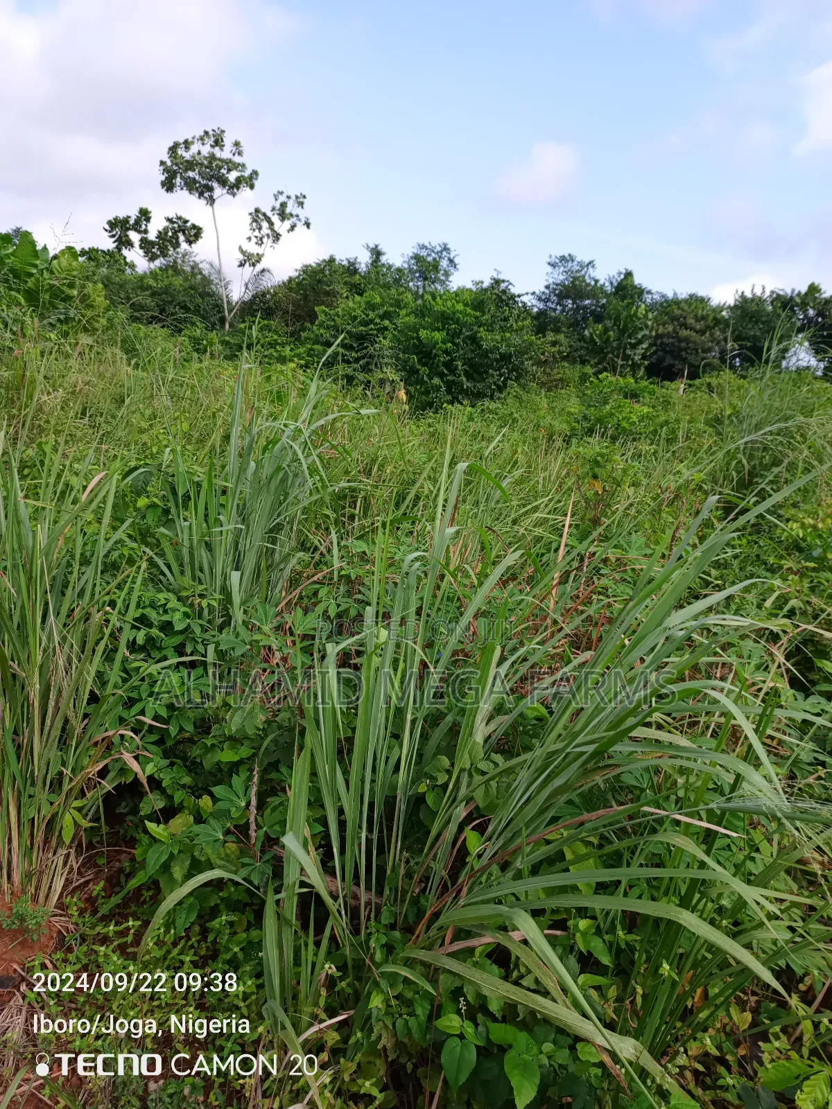 300 Acres of Farmland for Sale at 350,000 Per Acre in Odeda