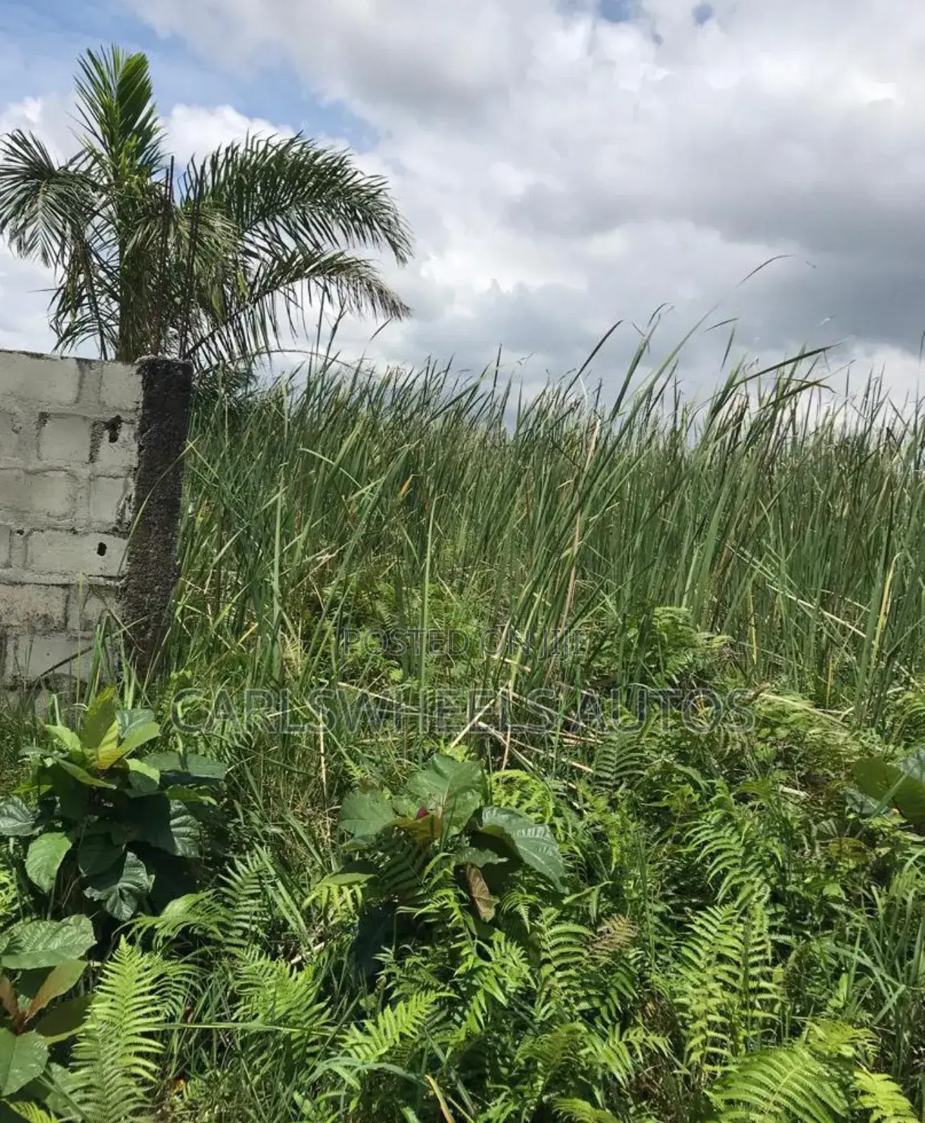 45hters Land at Elerangbe Ibeju Lekki by Dangote Refinery in Elerangbe