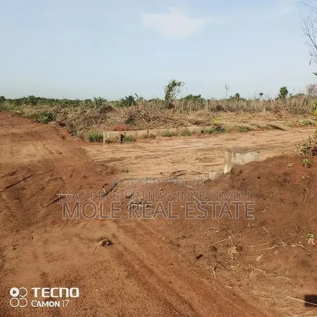 800 Acres 4 Sale by Ishara Lagos Ibadan Express Way in Ibadan