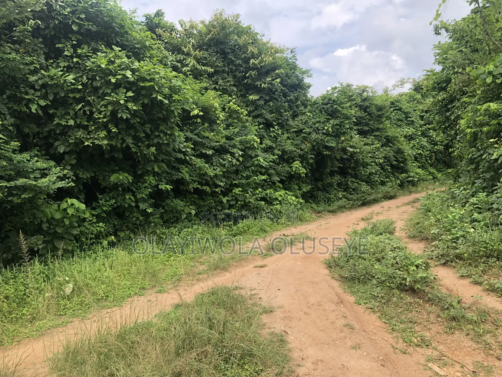 Agriculture Farmland in Ogun State , Nigeria for Sale in Obafemi-Owode