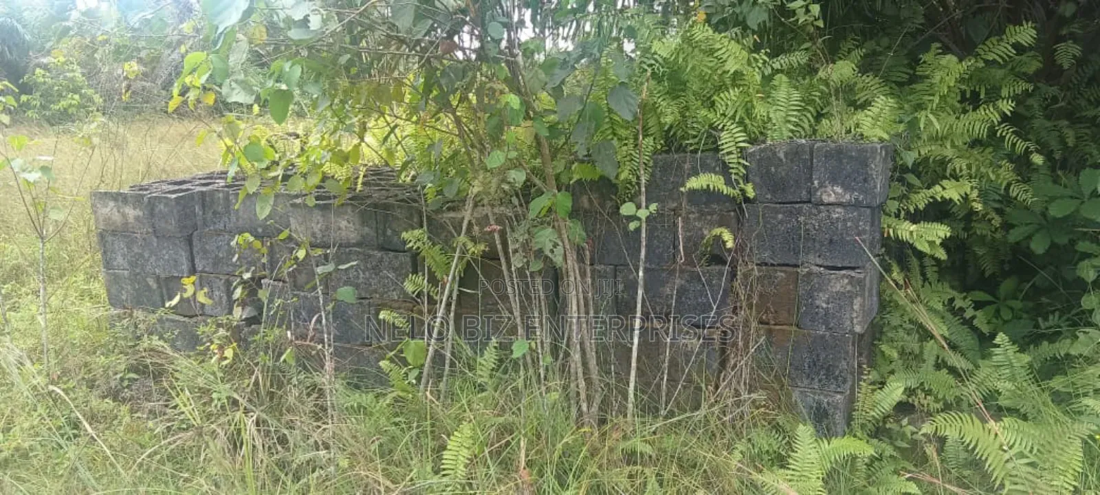 Dey Virgin Land for Sale in Age Mowo