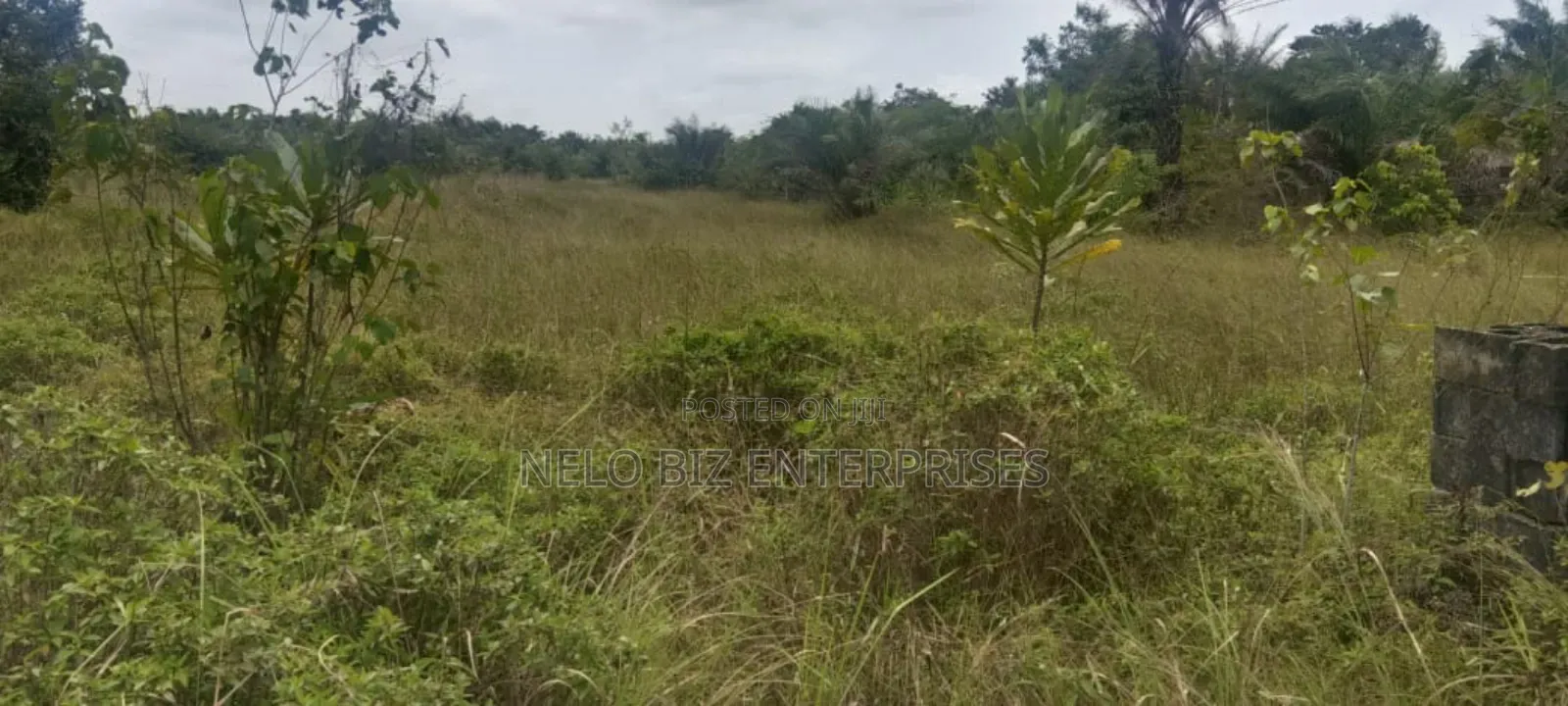 Dey Virgin Land for Sale in Age Mowo