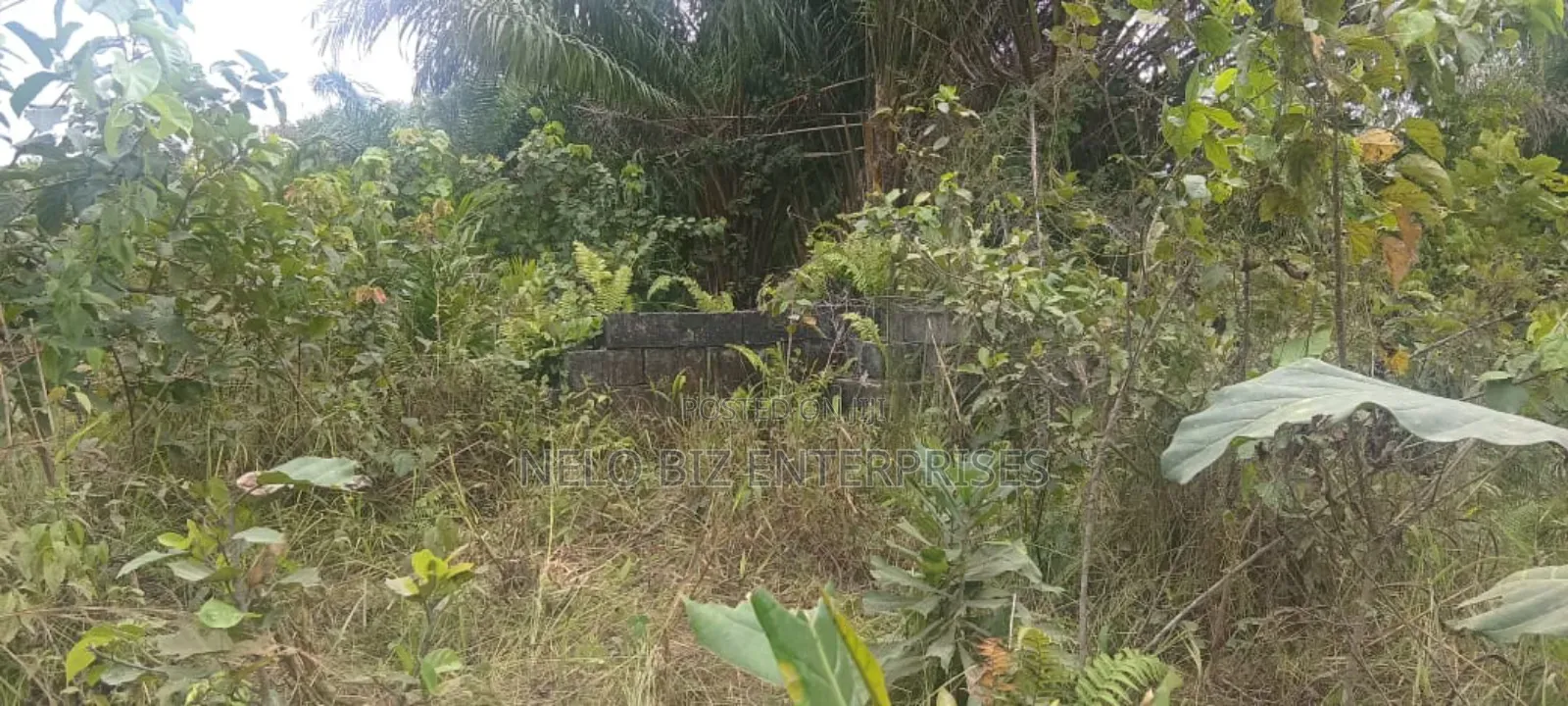 Dey Virgin Land for Sale in Age Mowo