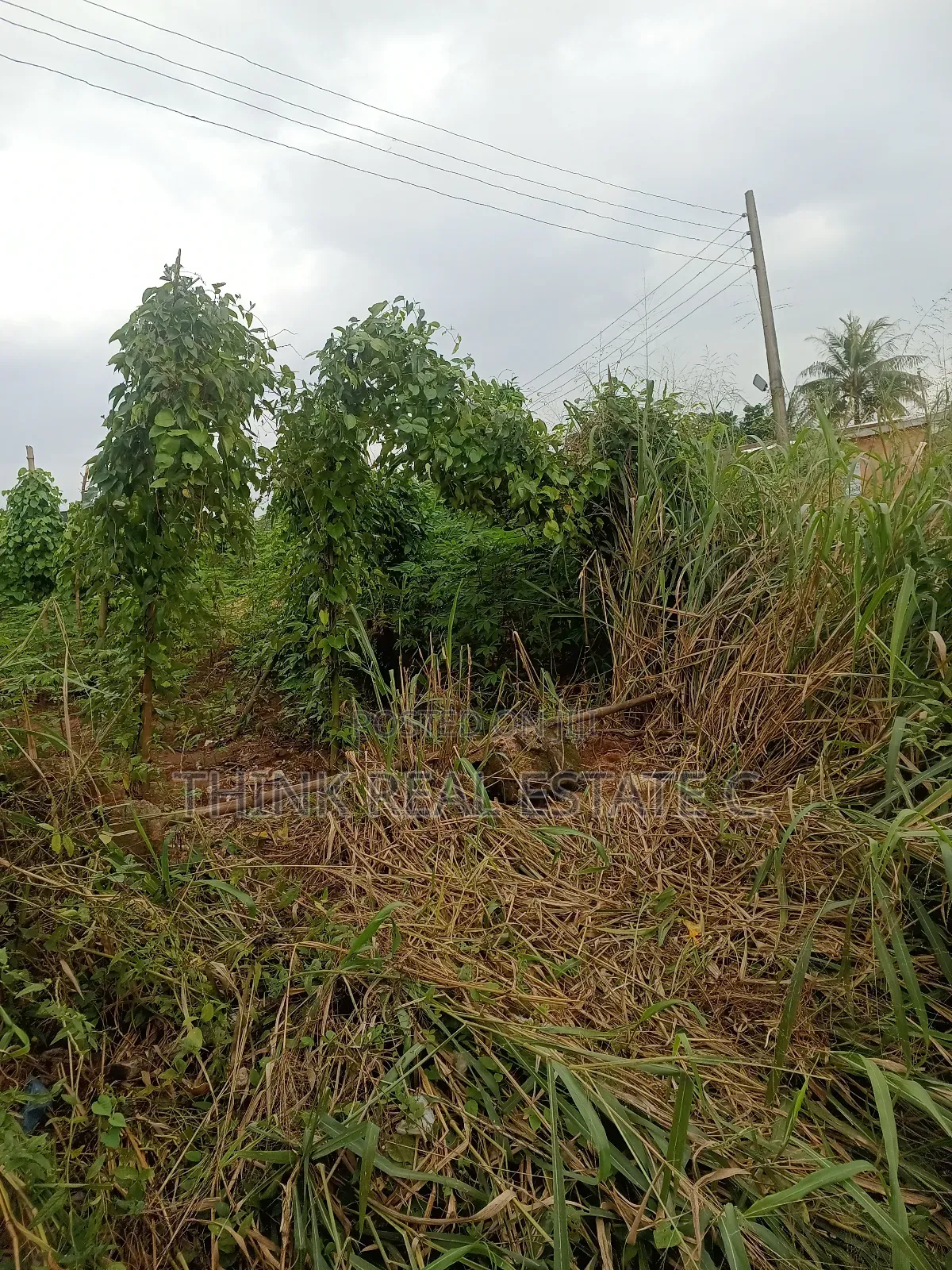 50/100 at Ogunmwenyi,Gra. Corner-Piece,Well Developed Area in Benin City