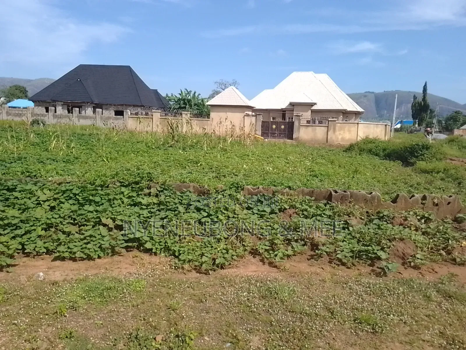 Virgin 1000sqm. Land for Sale in Karu