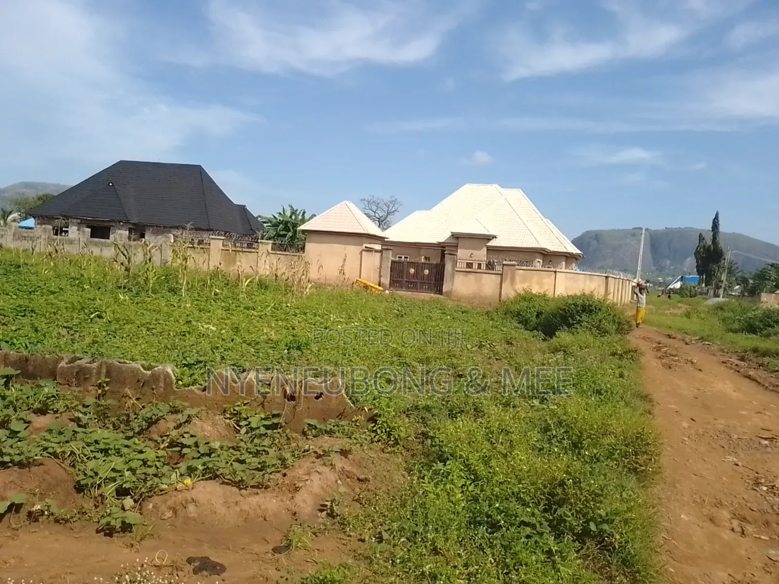 Virgin 1000sqm. Land for Sale in Karu