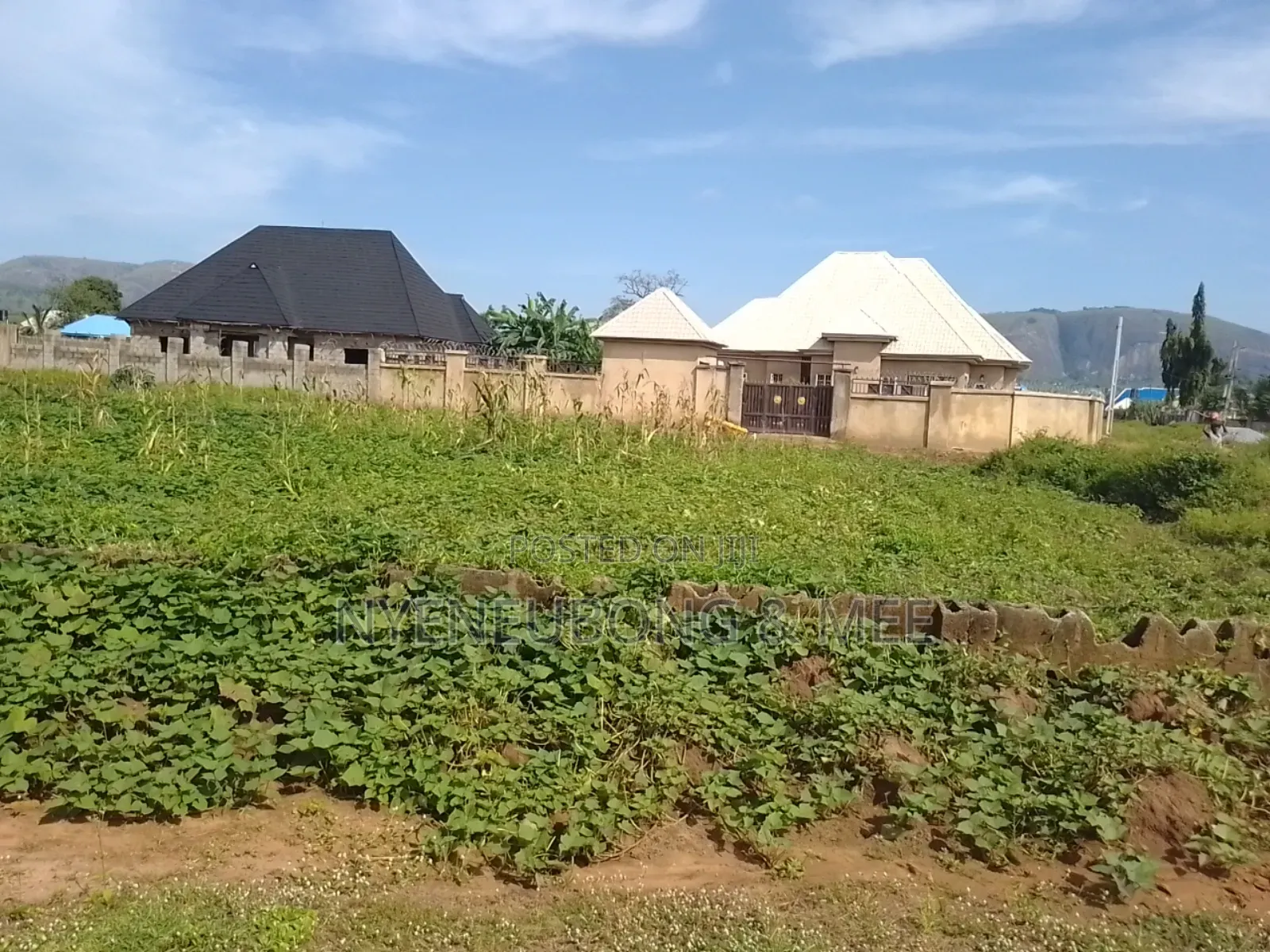 Virgin 1000sqm. Land for Sale in Karu