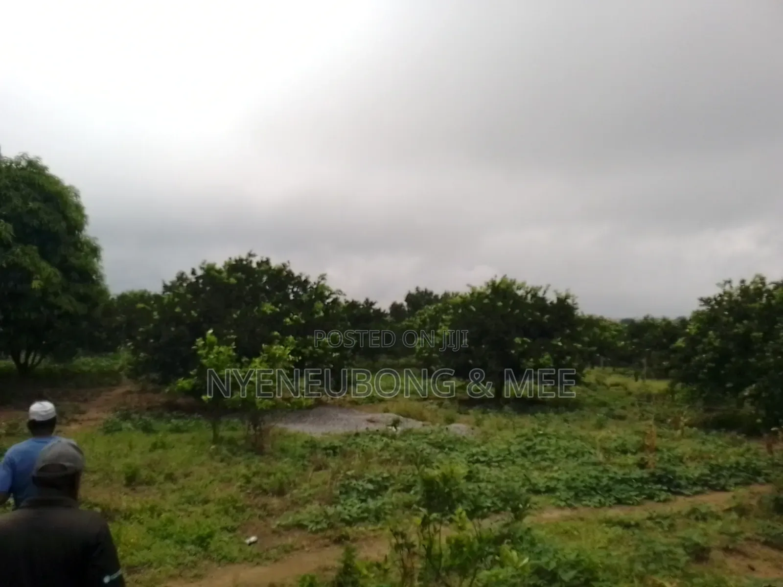 4 Hectares of Land for Sale in Karu