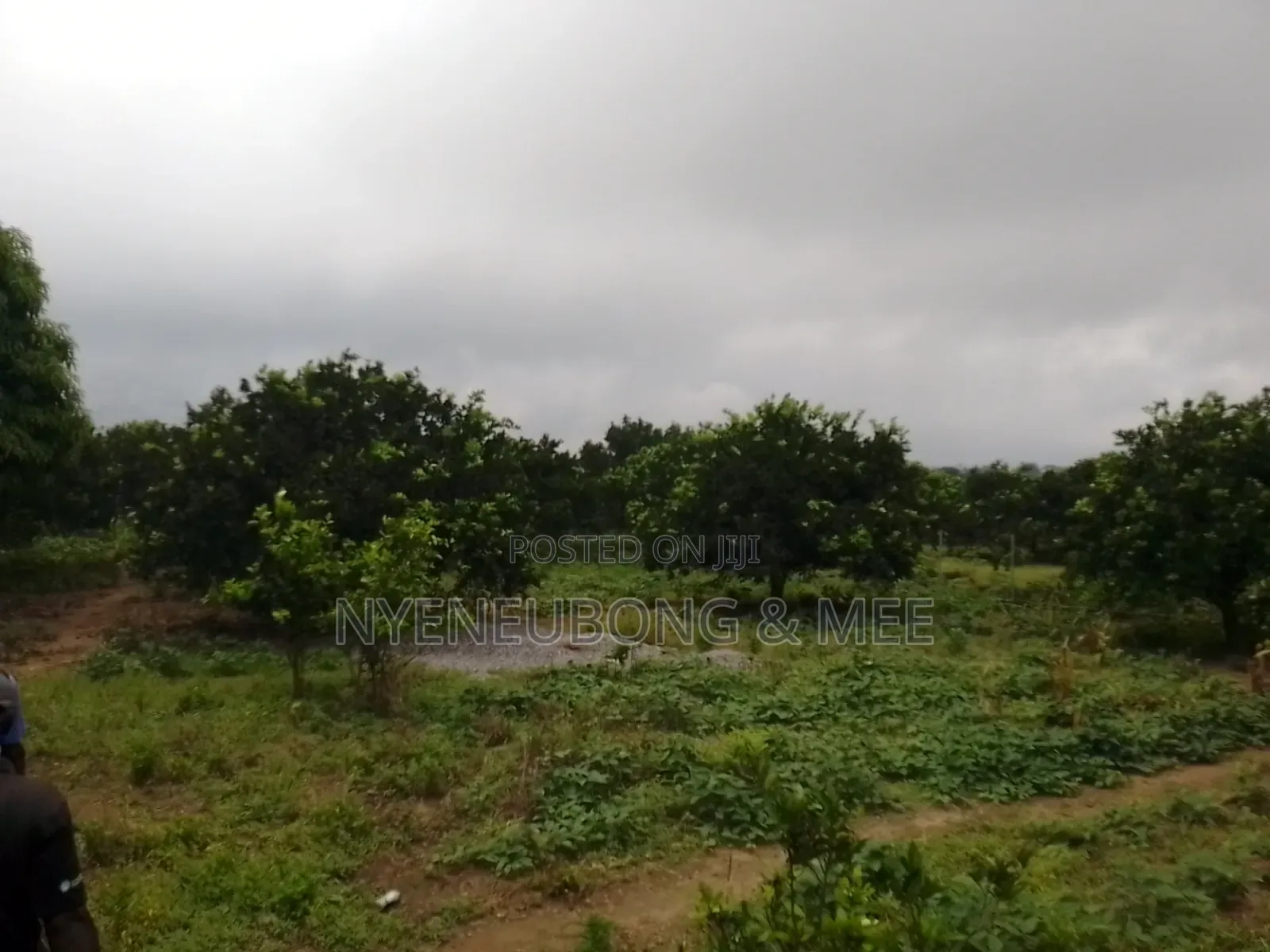 4 Hectares of Land for Sale in Karu