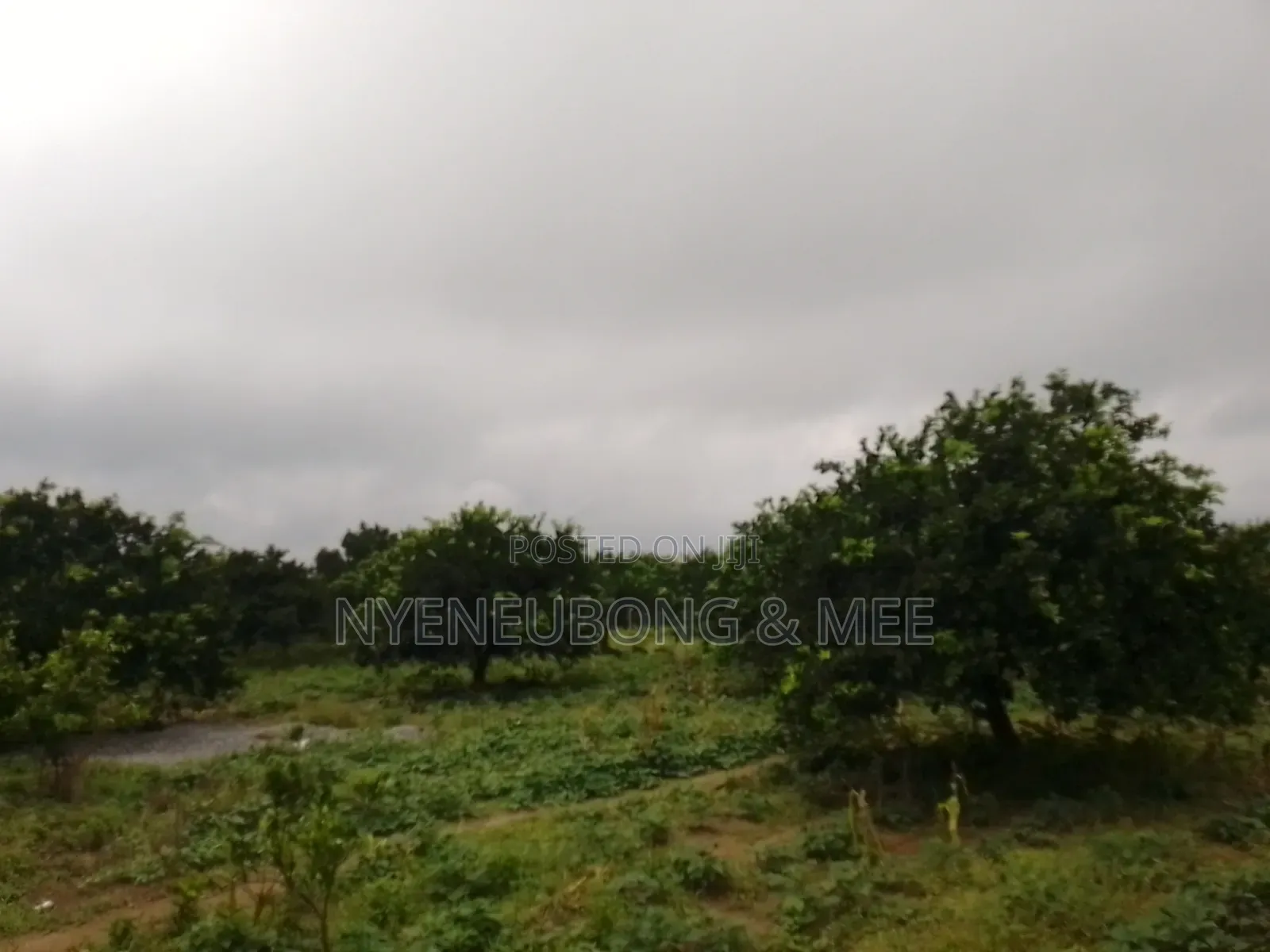 4 Hectares of Land for Sale in Karu