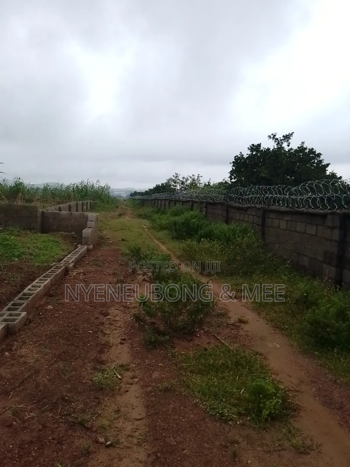 4 Hectares of Land for Sale in Karu