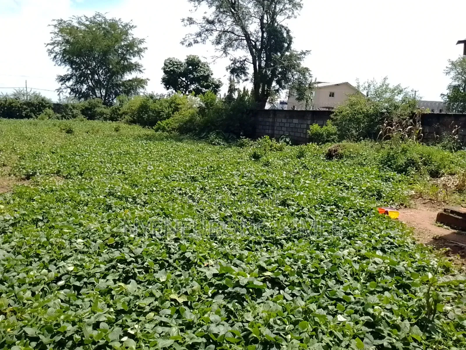2000sqm. Land for Sale in Karu