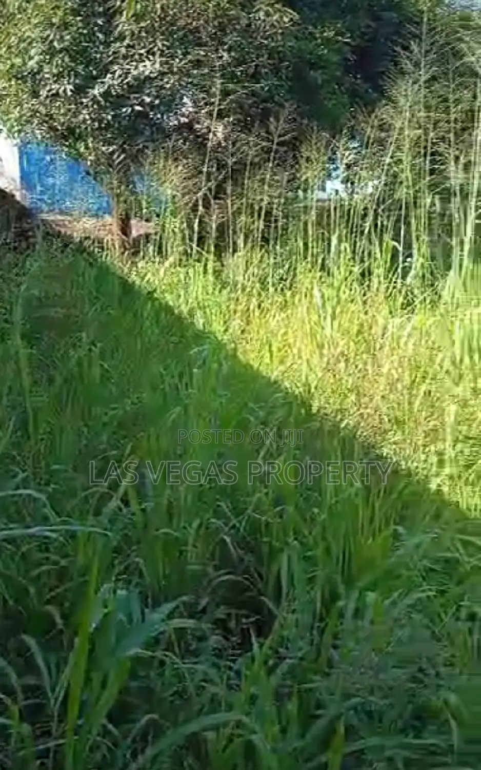 3bdrm Bungalow in Owerri for sale in Owerri