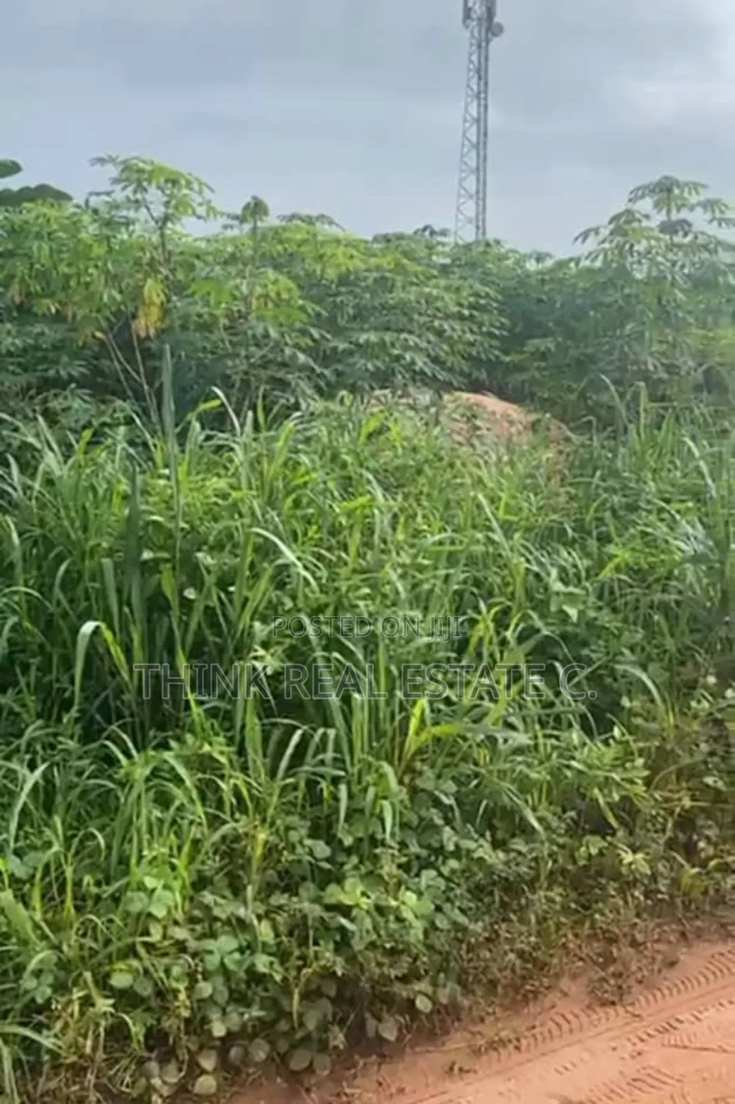 50/100 at Ovbiogie,Benin City. Close to the Tared Road 4sale in Benin City