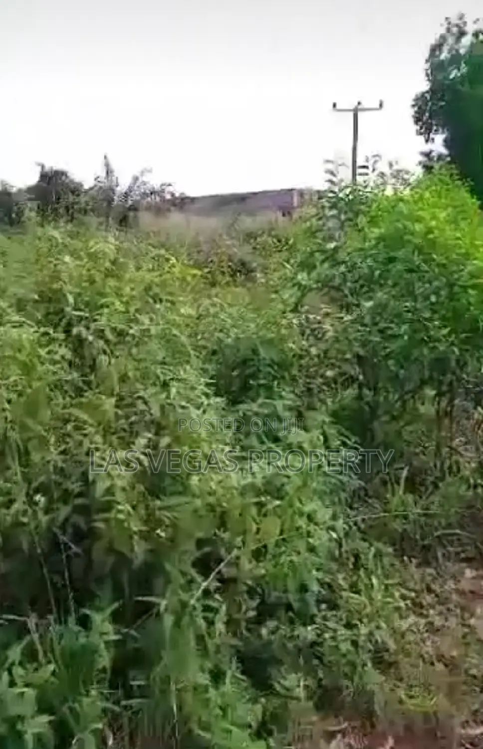 13 Plots of Land Along Imo Airport Road Owerri Imo State in Owerri