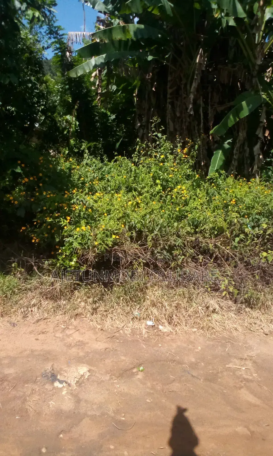 For Sale 60 Plot of Farmland at Ikere Ekiti in Ado Ekiti