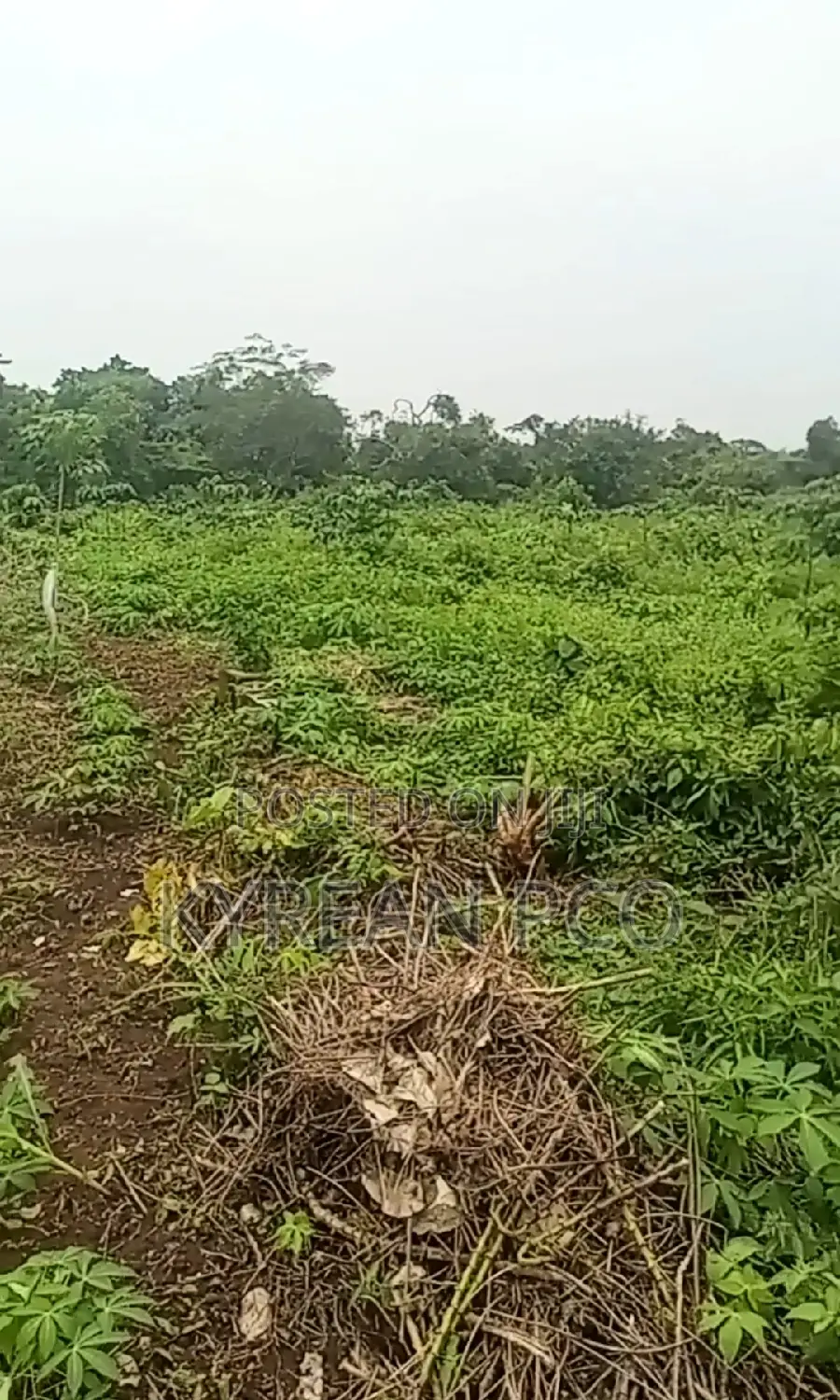 670sqm Plot At in Ikorodu