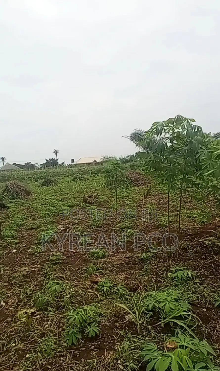 670sqm Plot At in Ikorodu