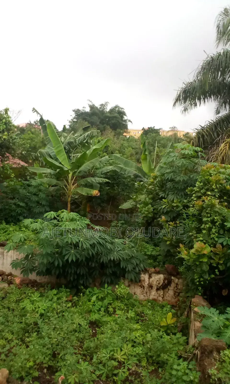 5 Acres of Land at Odo Ekiti State in Ado Ekiti