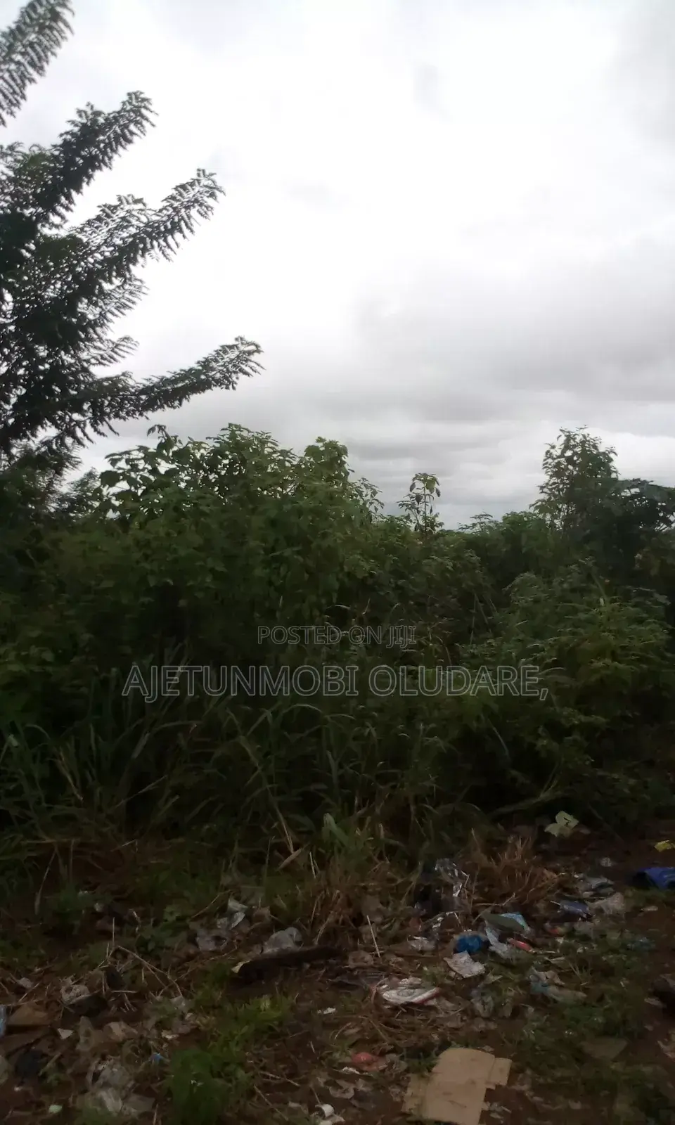 5 Acres of Land at Odo Ekiti State in Ado Ekiti