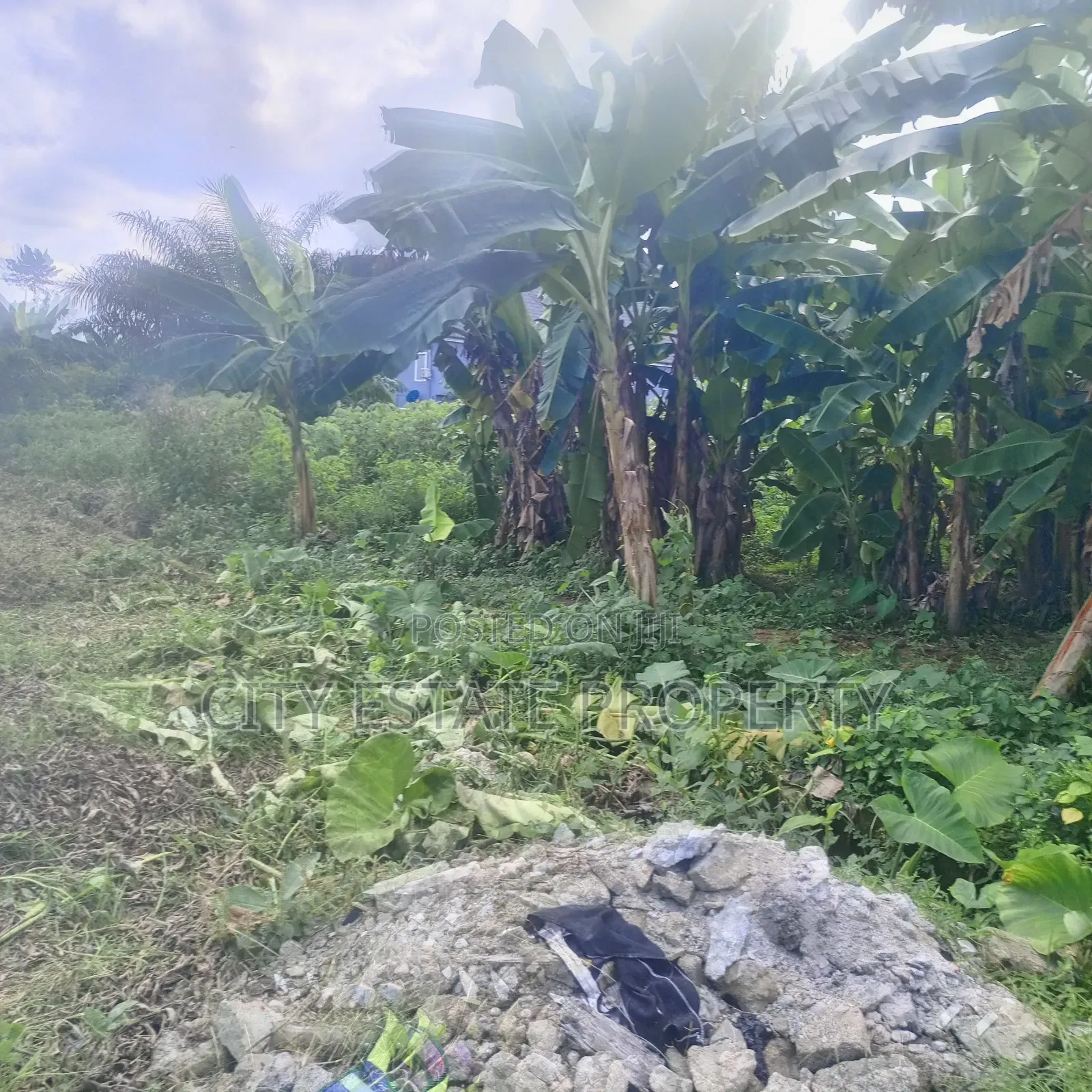 Land for Sale at Chomana Off Rukpokwu Eneka Rd Fed Light in Port-Harcourt