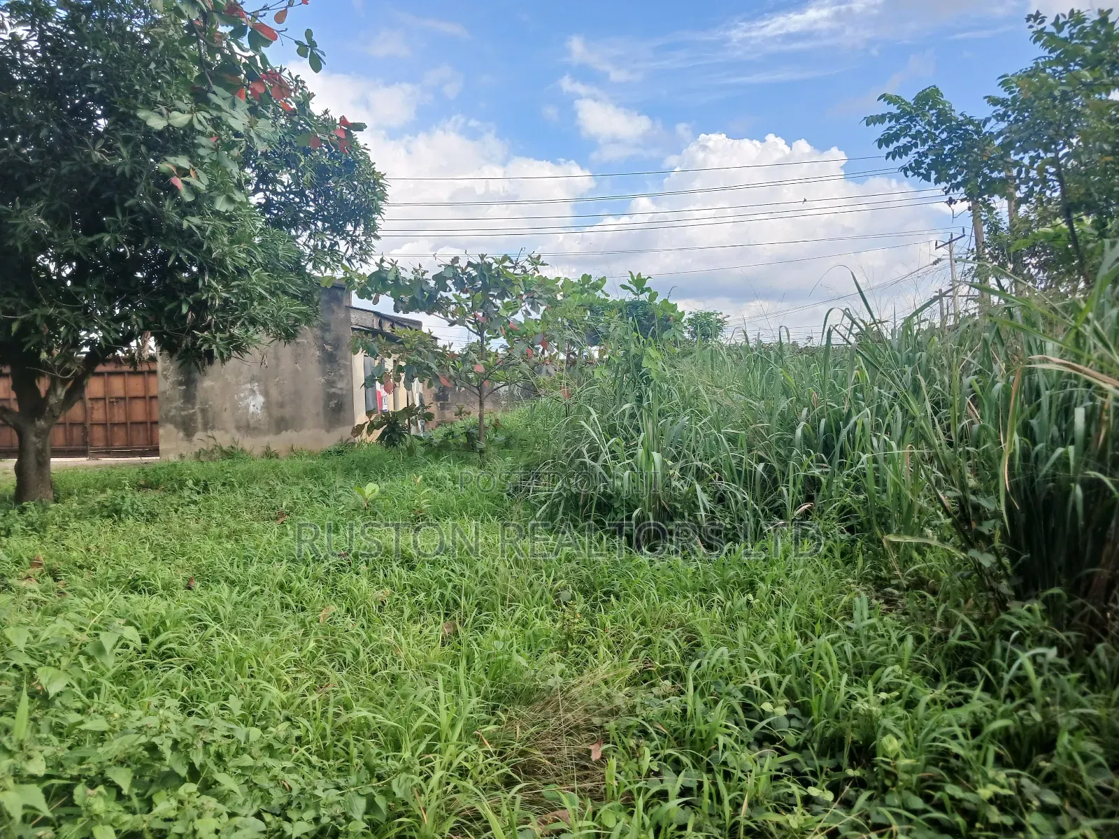 Land Measuring About 4000sm in Oluyole Estate