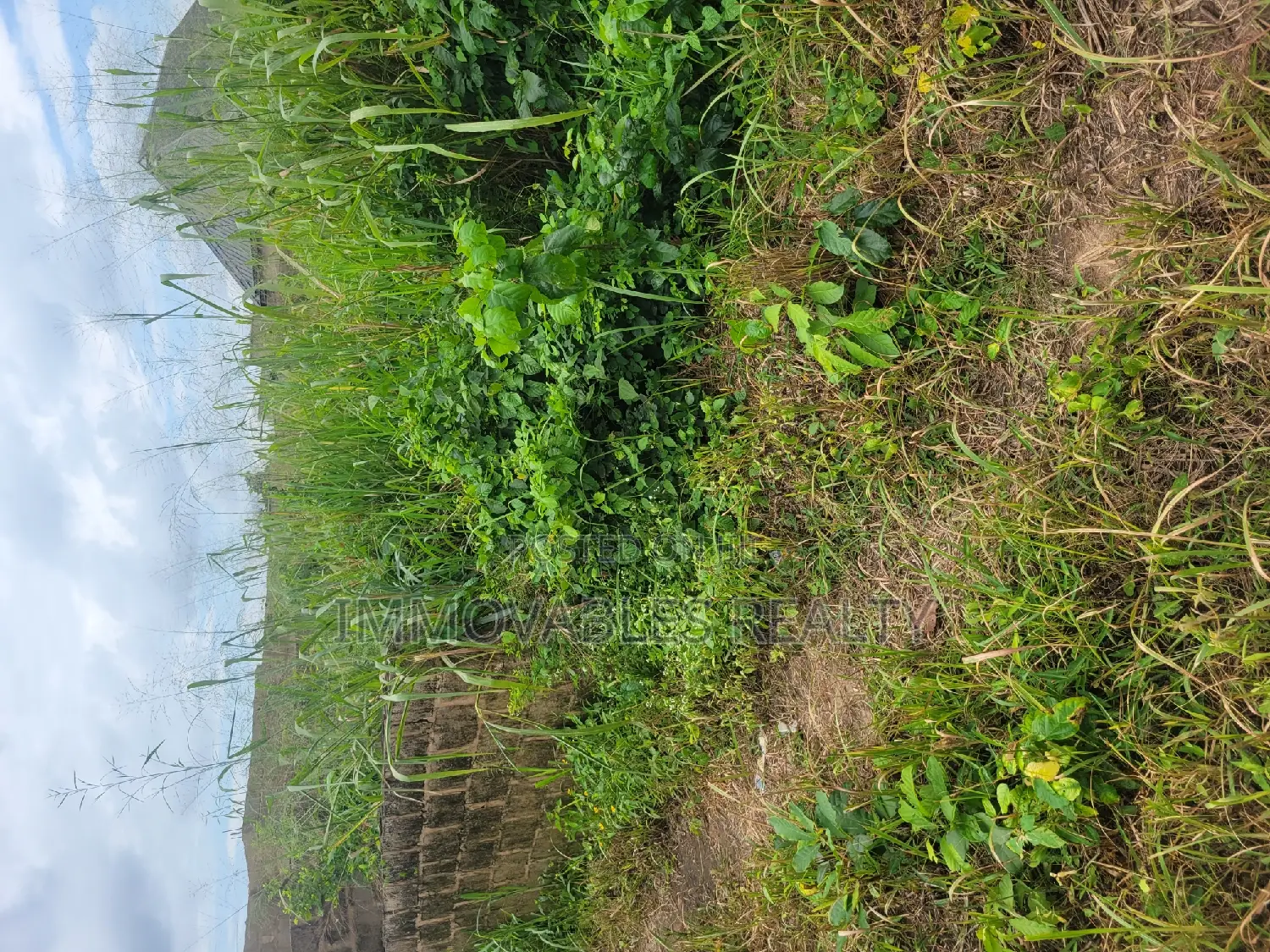 Obada Land for Sale in Abeokuta North