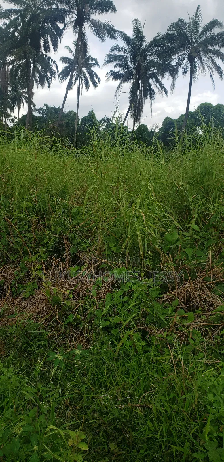 Good Table Land for Sale at Isiagu Awka in Awka