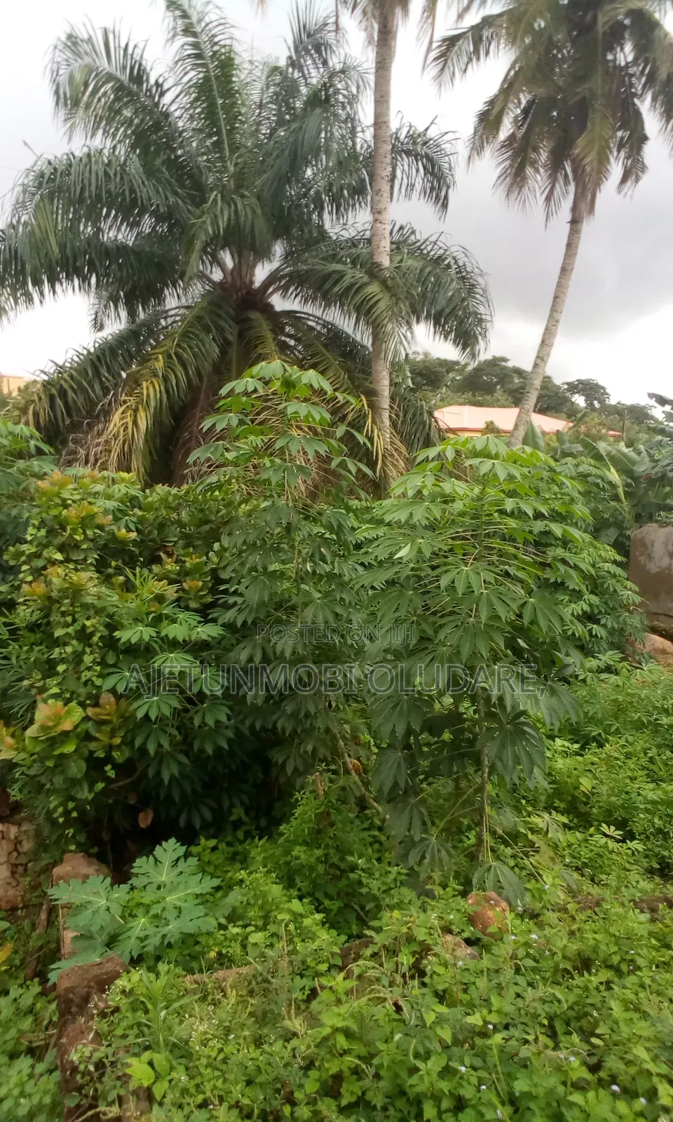 Land for Sale at Imojo Ekiti, OYE. LGA in Oye