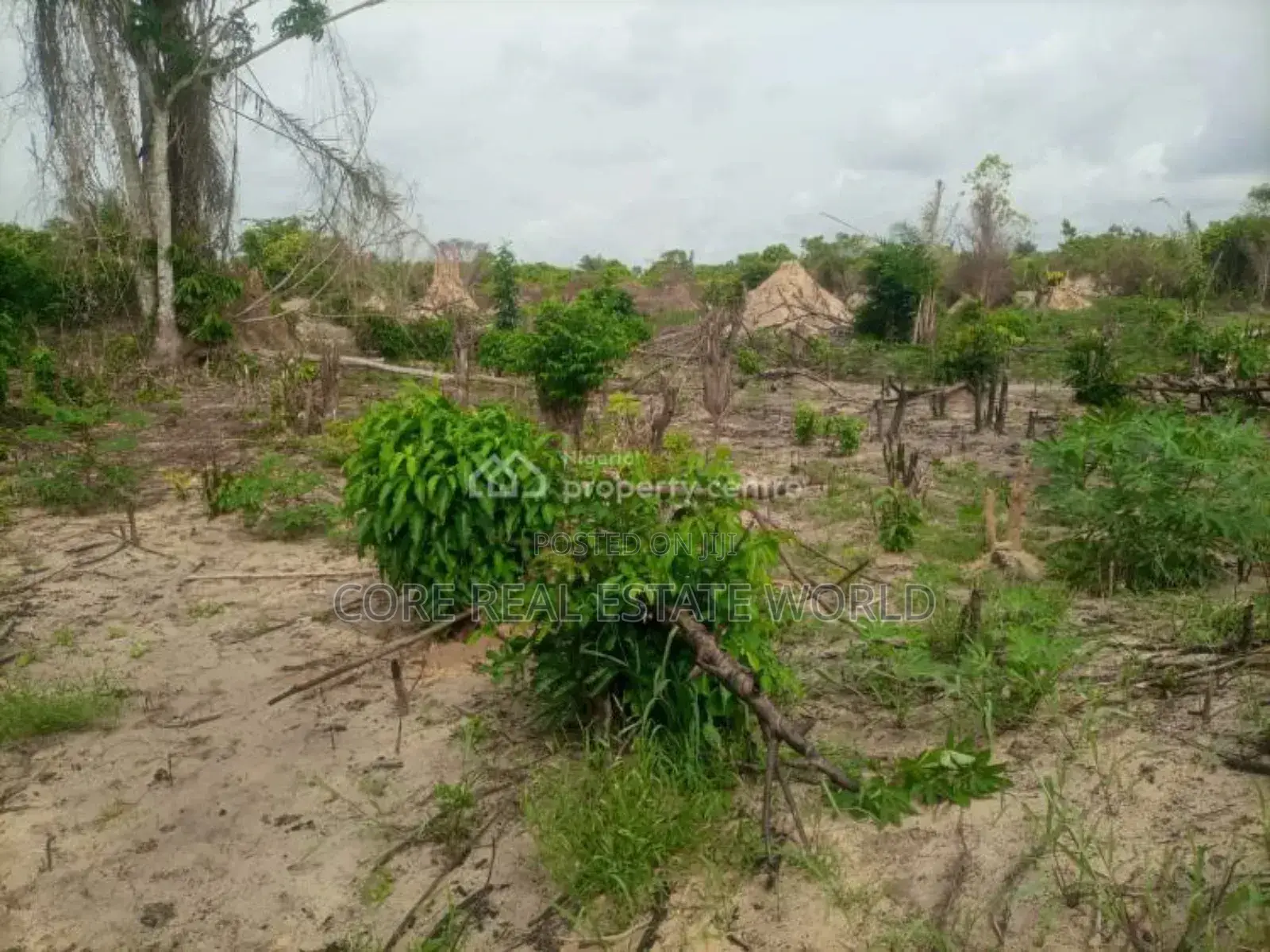 Okpanam, Asaba Delta State in Oshimili North