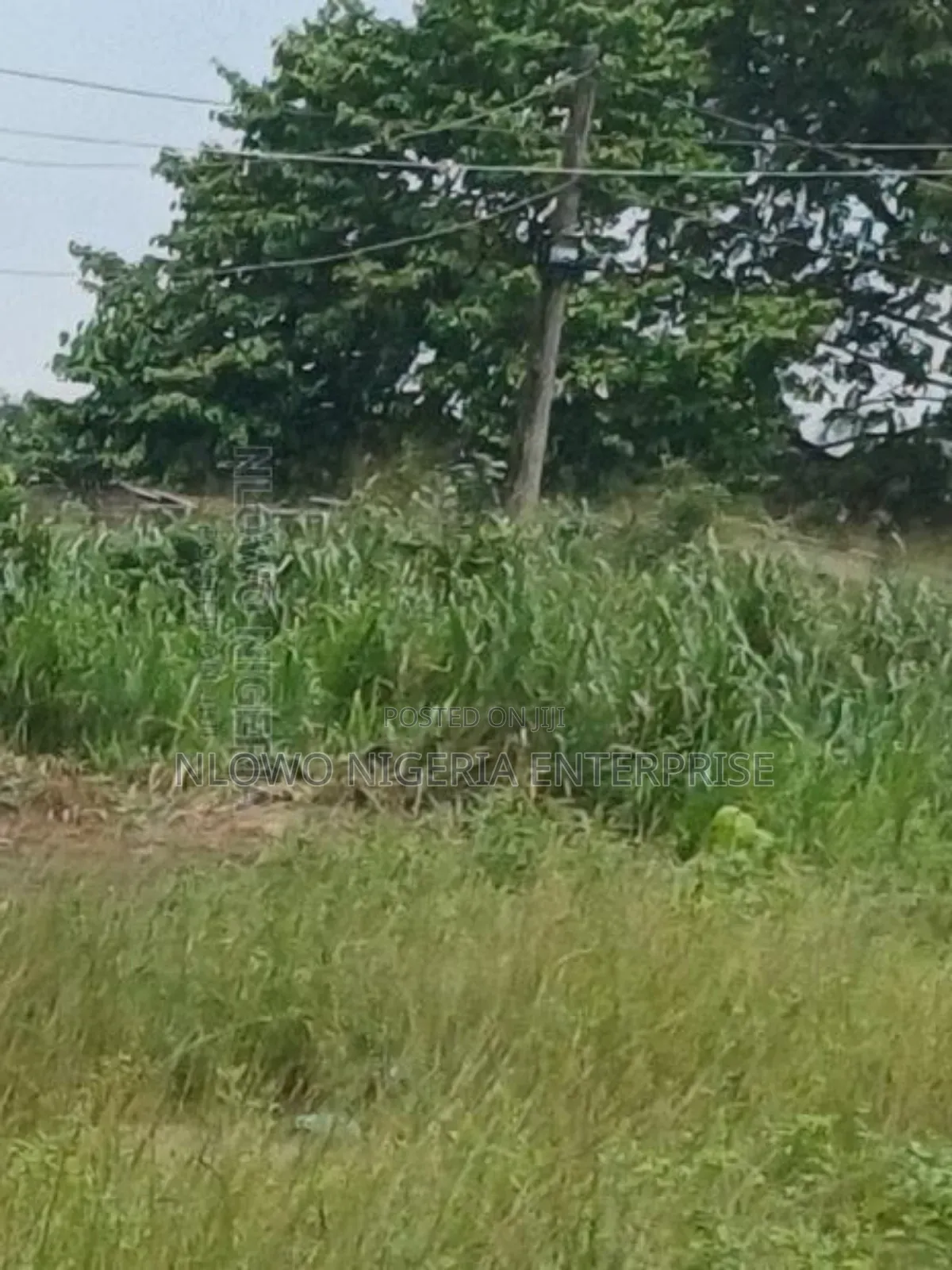 Sale of Plot of Land at Oke Oko Isawo Agric Ikorodu in Agric