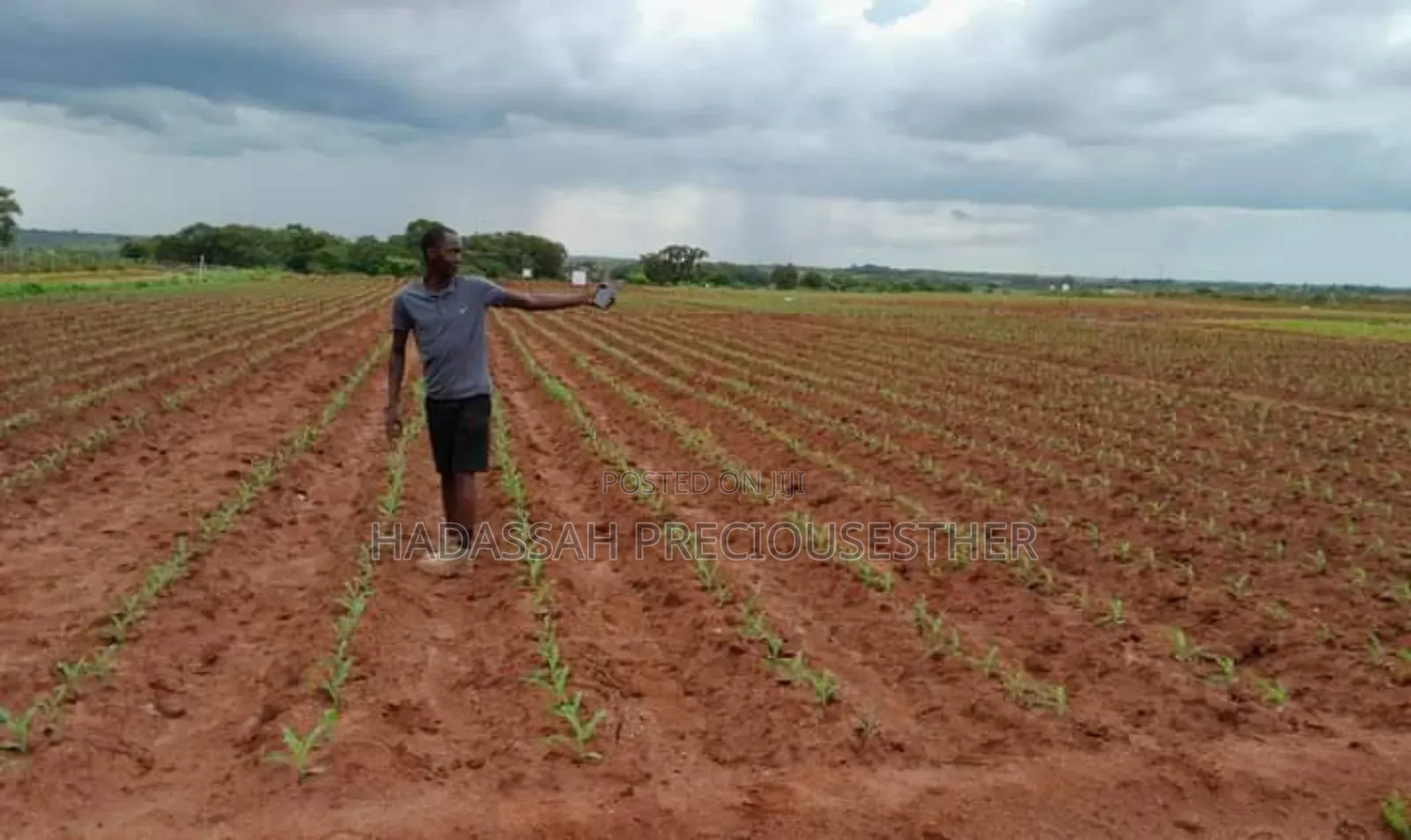 Hectares Of Lands For Sale In Uyo, Akwa Ibom State in Uyo