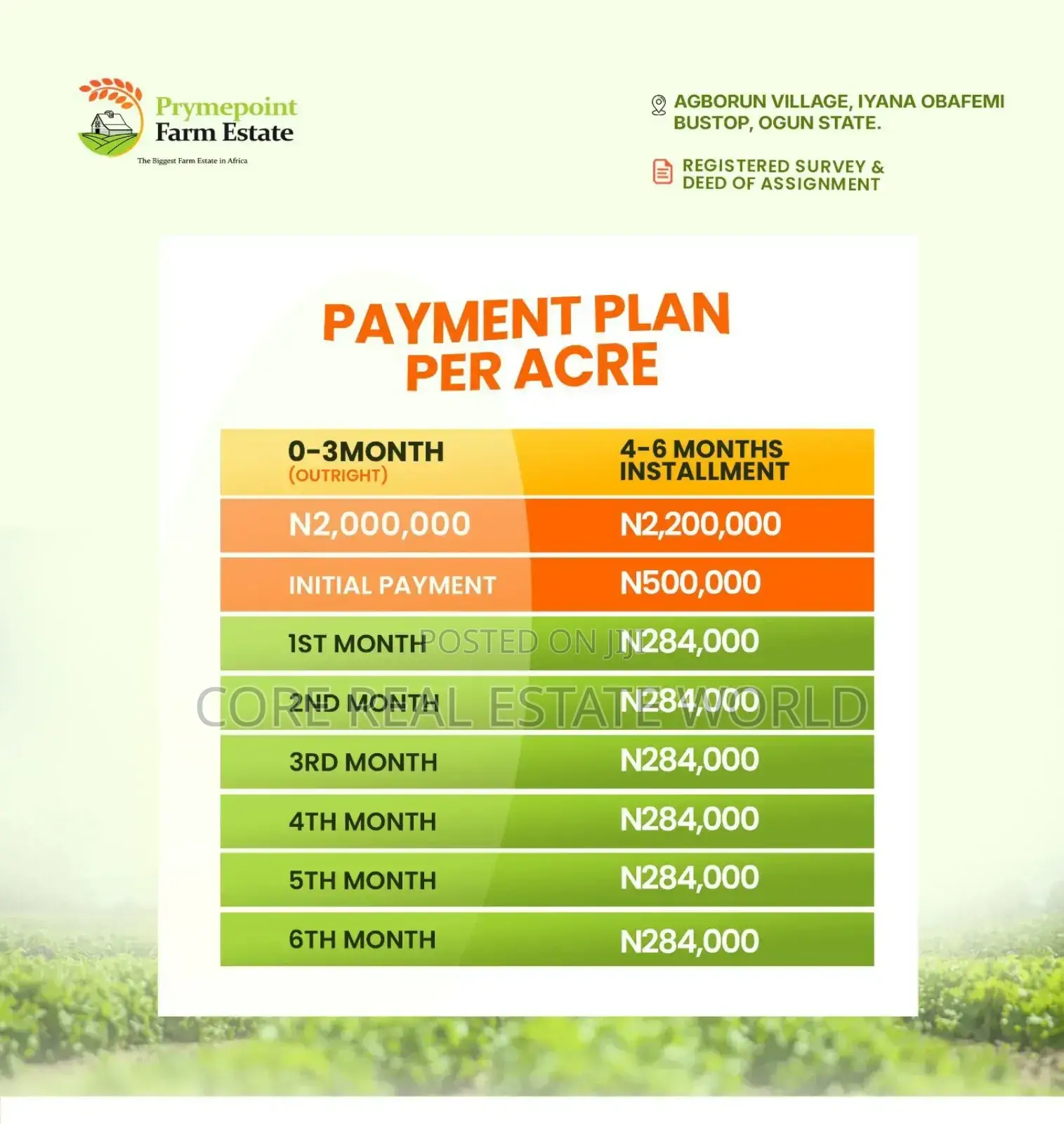 Largest Farm Estate in Africa, Ogun, Products Is Has Been Going On in Obafemi-Owode