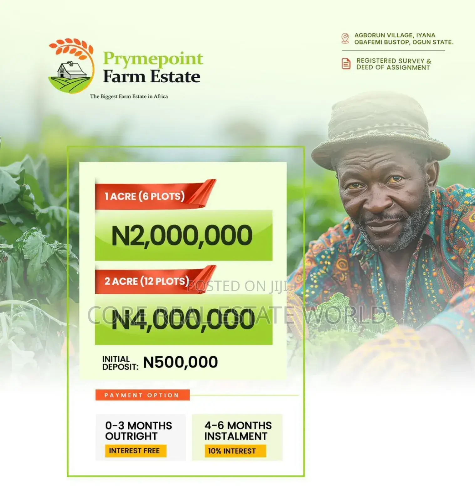 Largest Farm Estate in Africa, Ogun, Products Is Has Been Going On in Obafemi-Owode