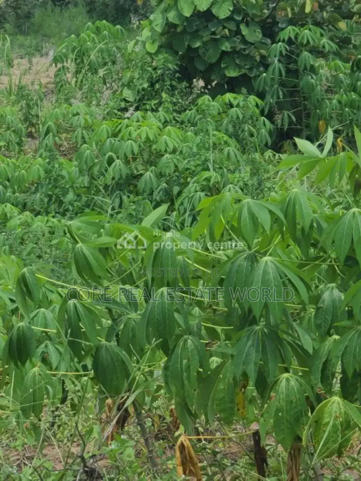 Tura Smart, Estate, Lagos State in Ibeju