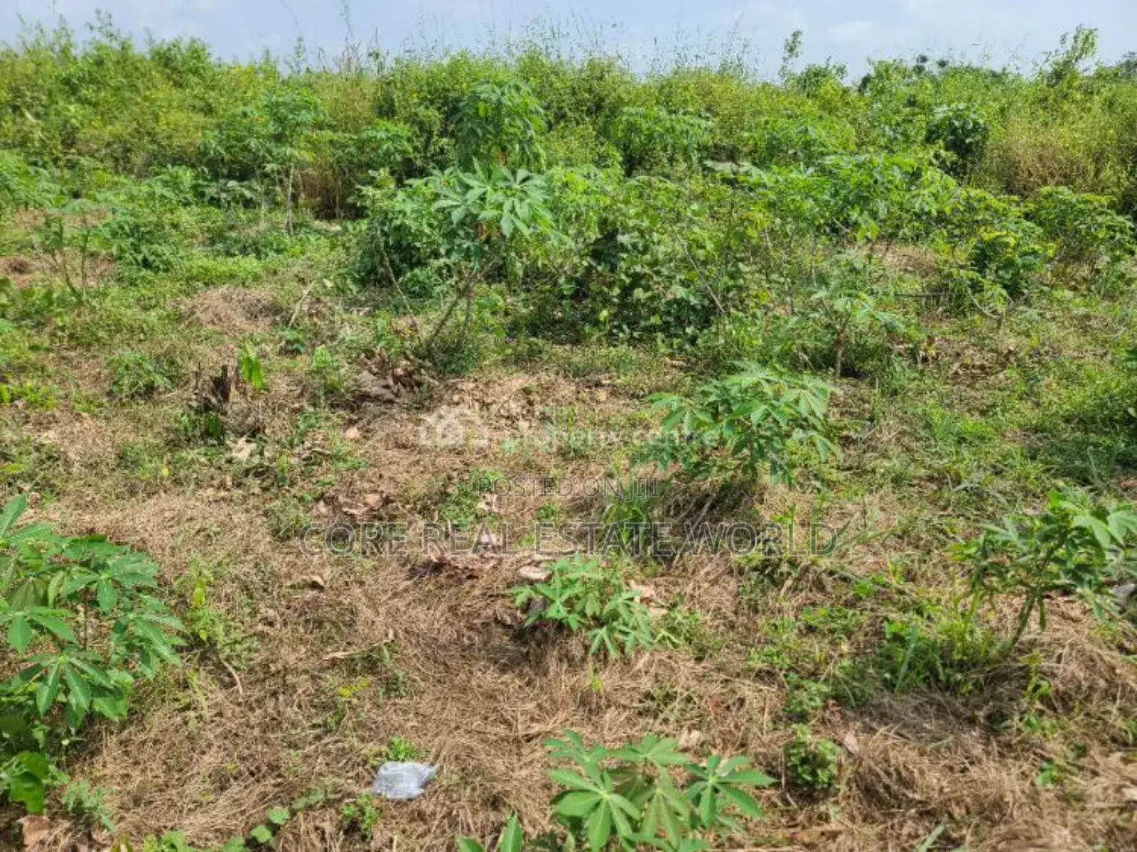 Tura Smart, Estate, Lagos State in Ibeju