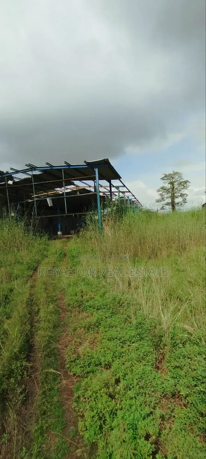 96 Plots of Land Fenced Gated Along Iyowa Main Road in Benin City