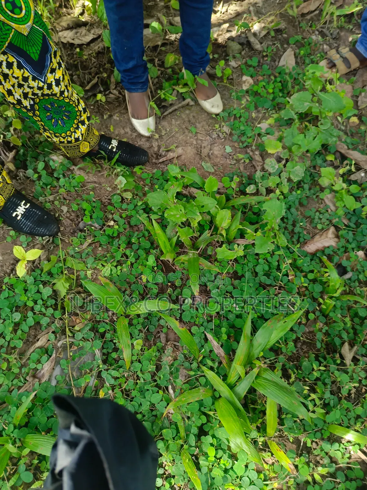 Acres of Farm Land at Eredo Owode in Ado-Odo/Ota