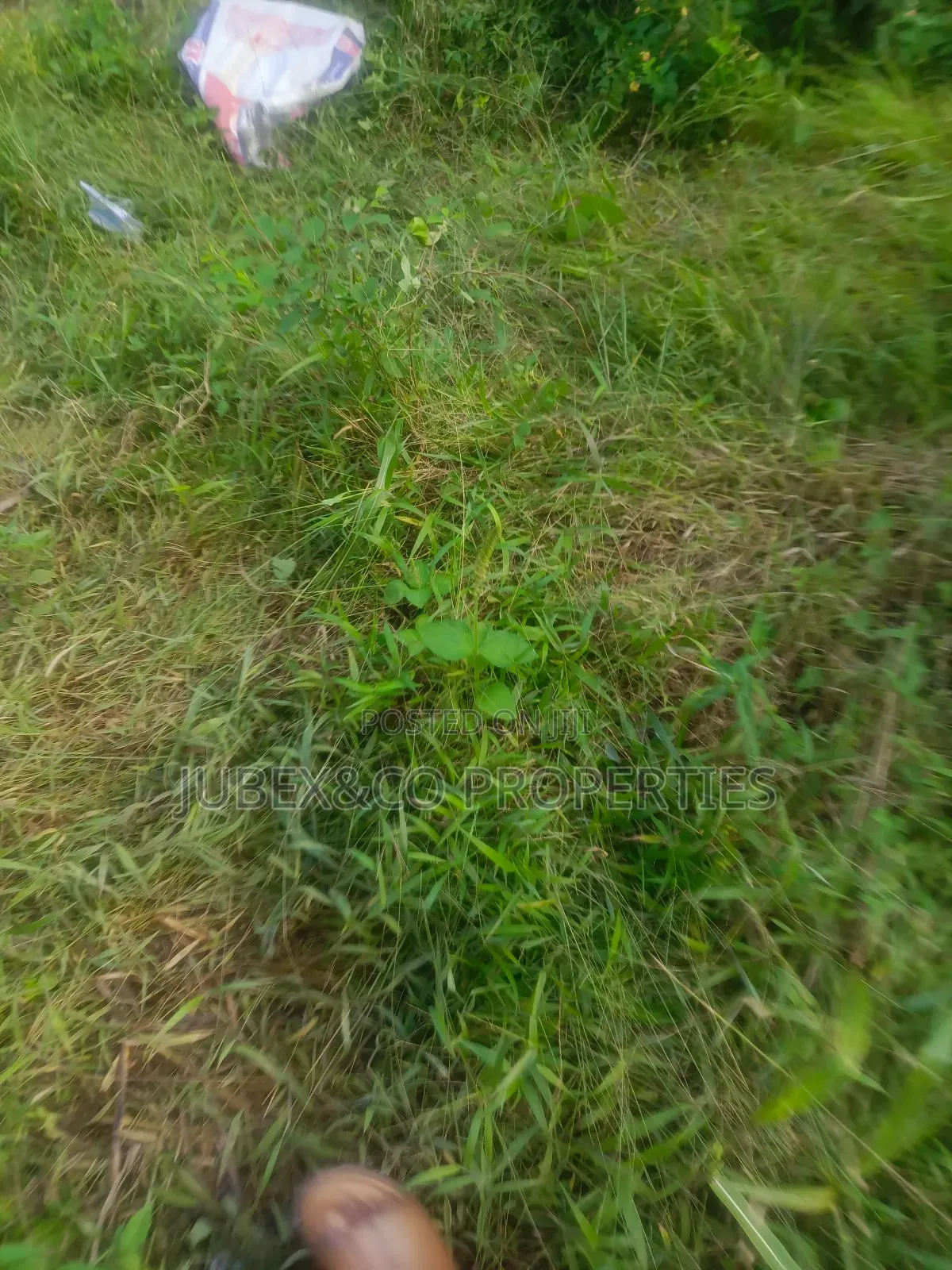 Acres of Farm Land at Eredo Owode in Ado-Odo/Ota