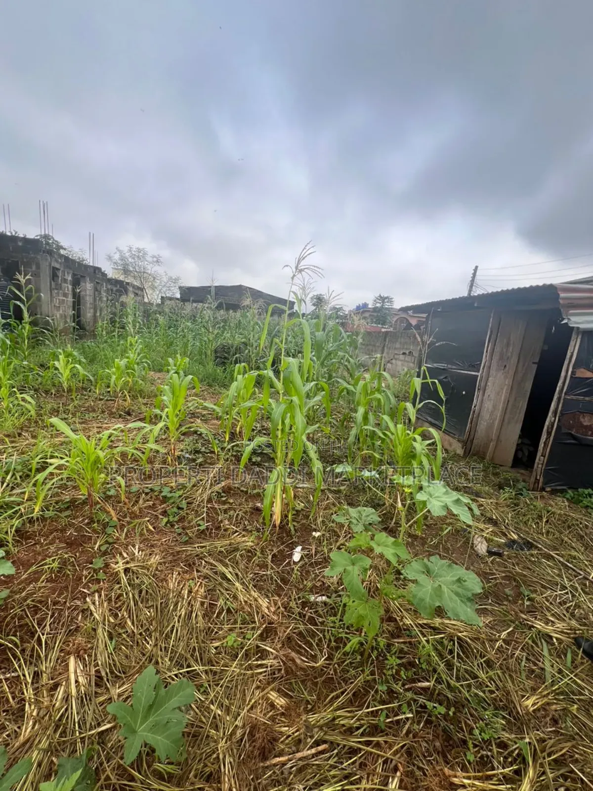 Half Plot of Land for Sale in Ipaja in Ipaja