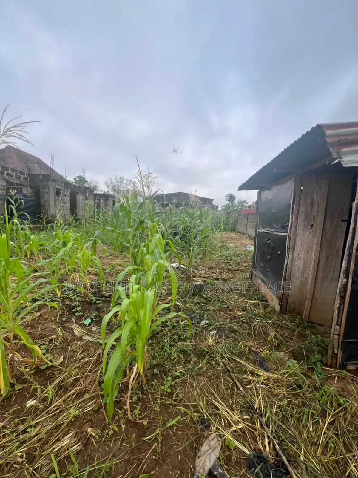 Half Plot of Land for Sale in Ipaja in Ipaja