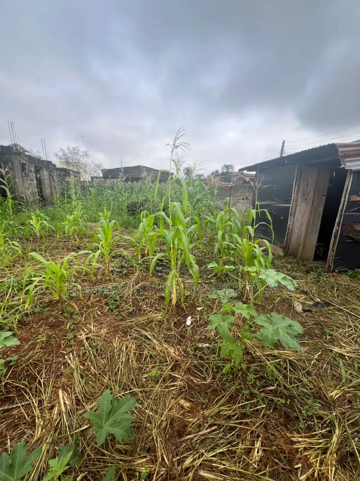 Half Plot of Land for Sale in Ipaja in Ipaja